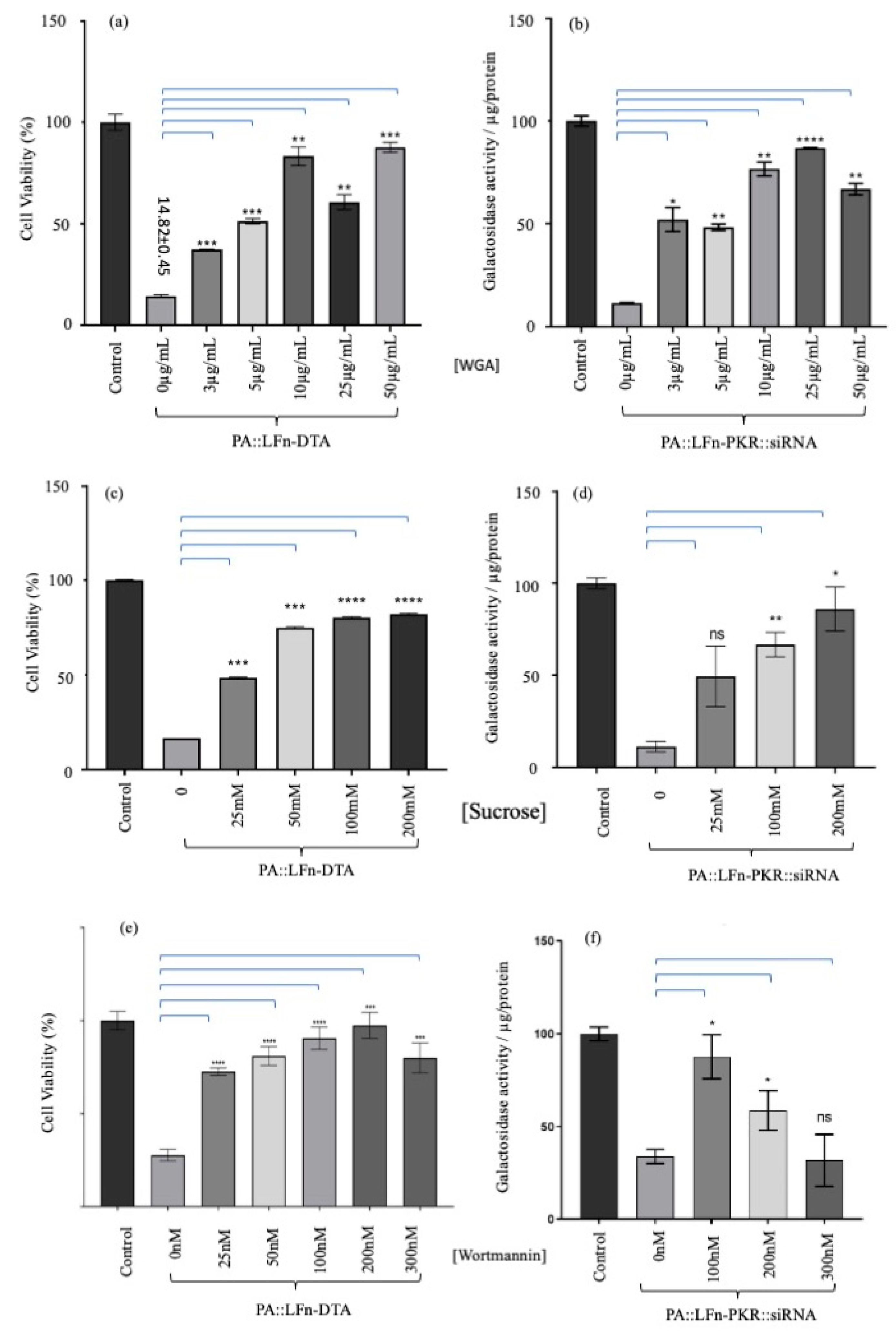 Pharmaceutics 17 01584 g004 Pharmaceutics 17 01584 g004