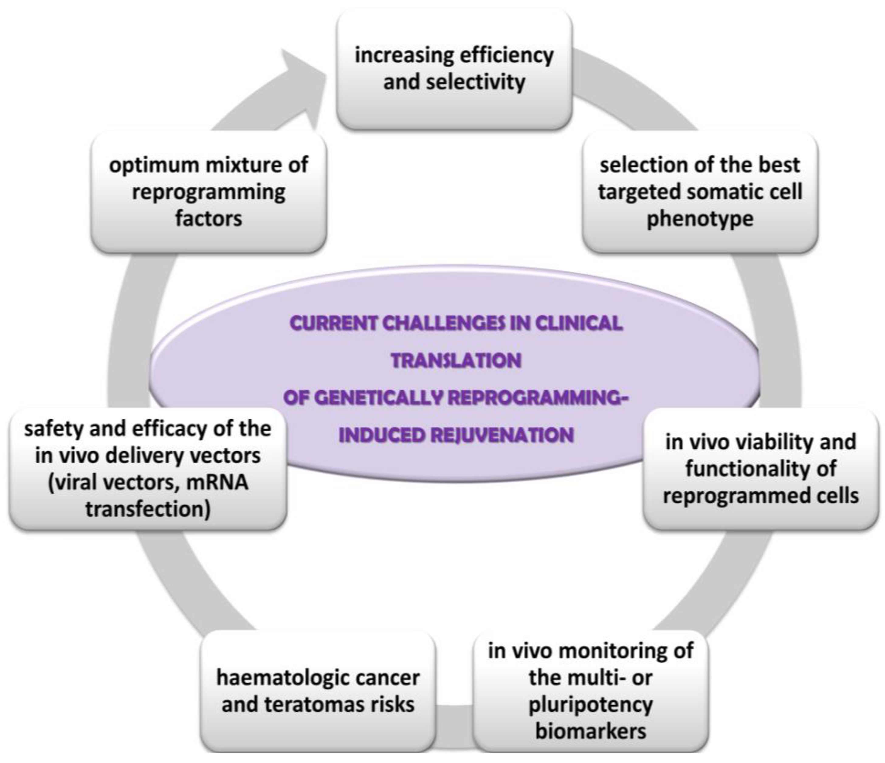 Pharmaceutics 17 01585 g001 Pharmaceutics 17 01585 g001