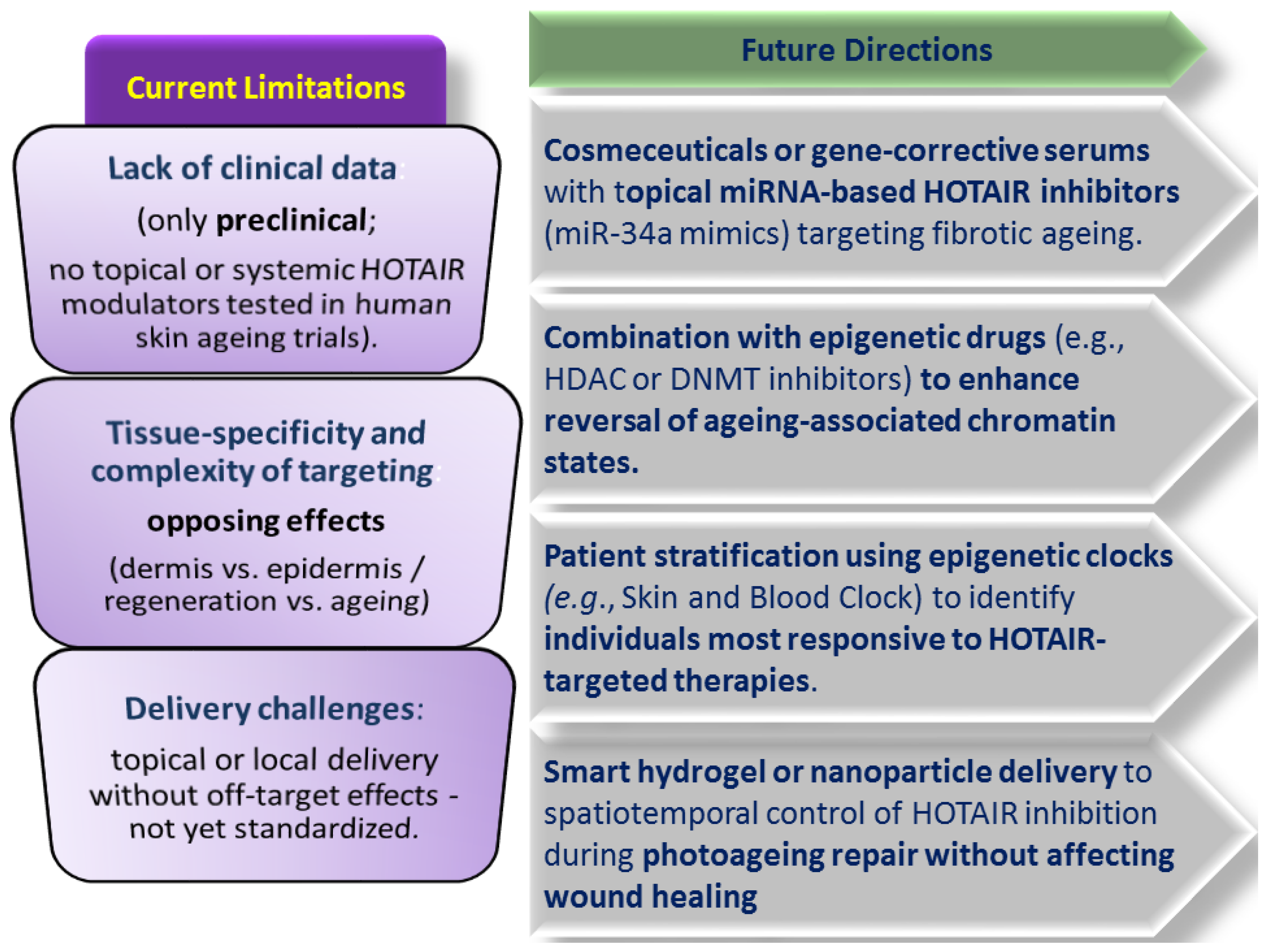 Pharmaceutics 17 01585 g002 Pharmaceutics 17 01585 g002