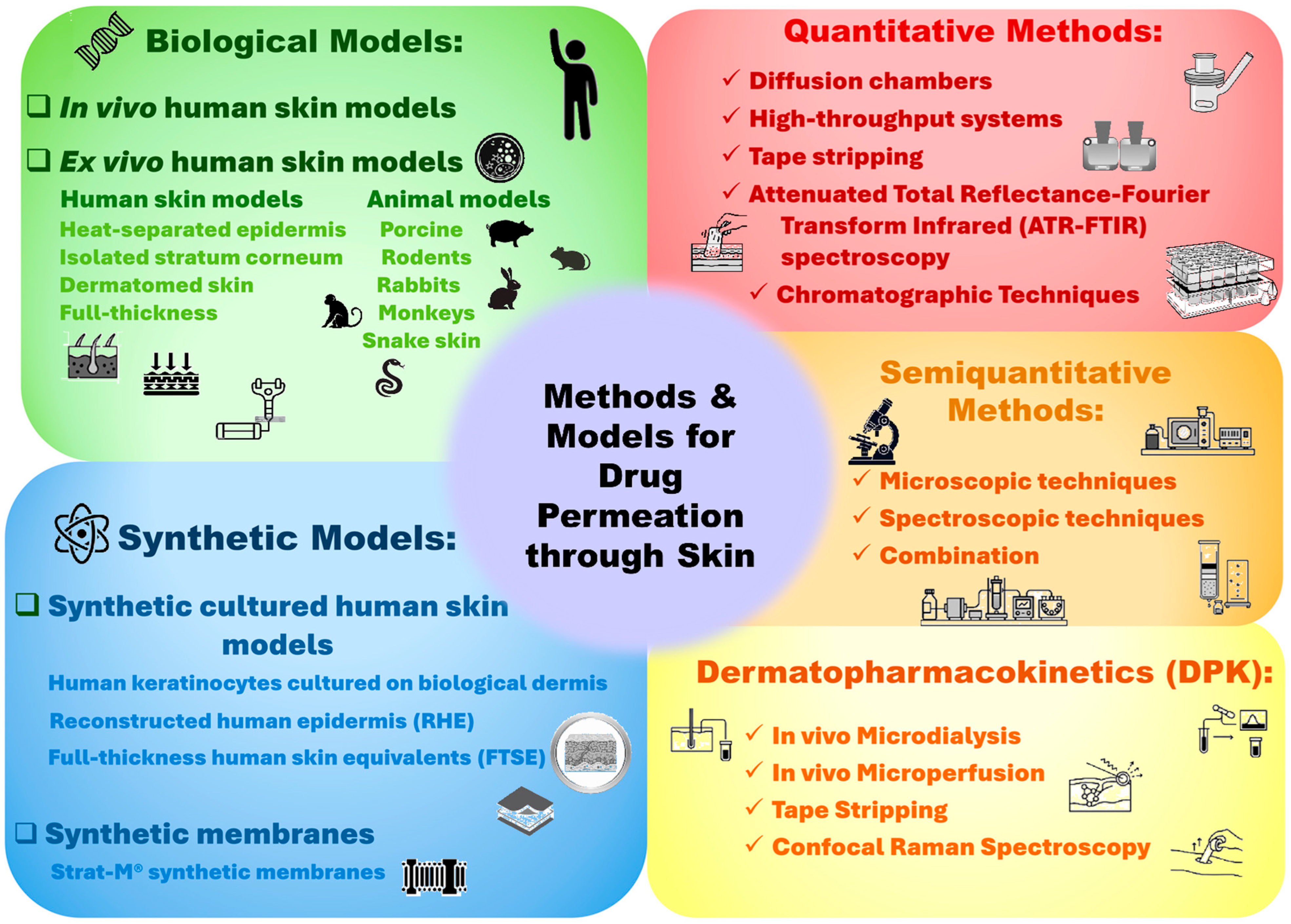 Pharmaceutics 17 01586 g001