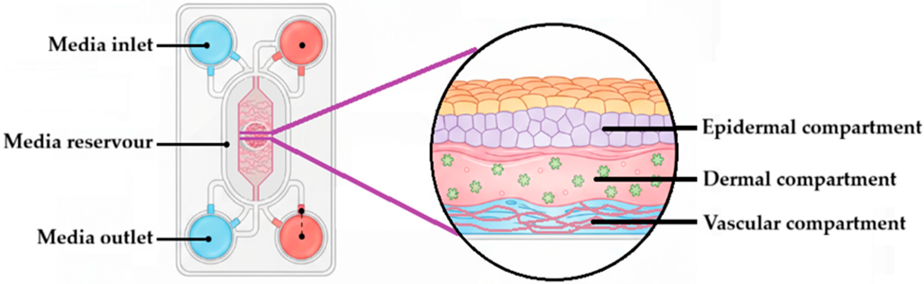 Pharmaceutics 17 01586 g006