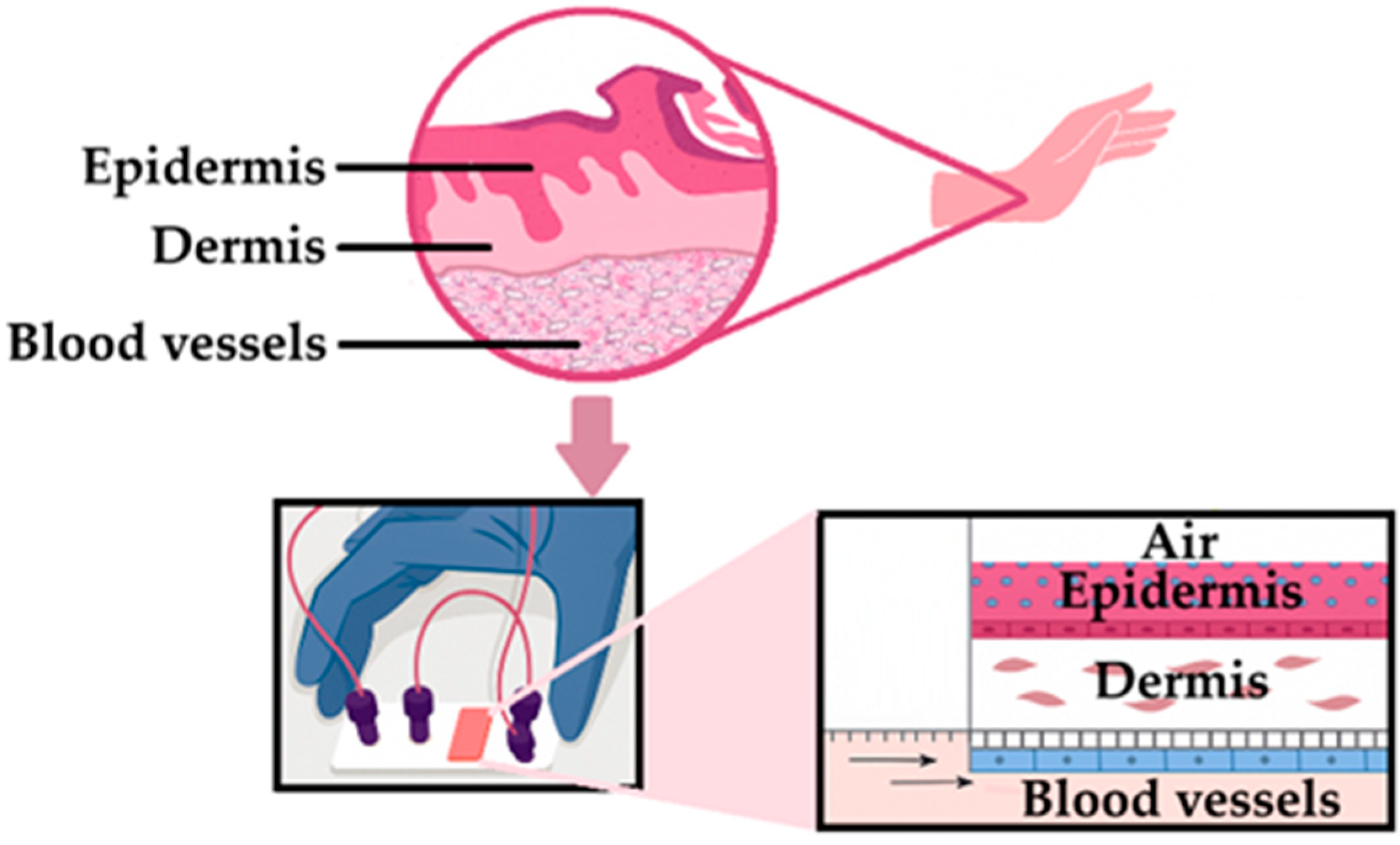 Pharmaceutics 17 01586 g007