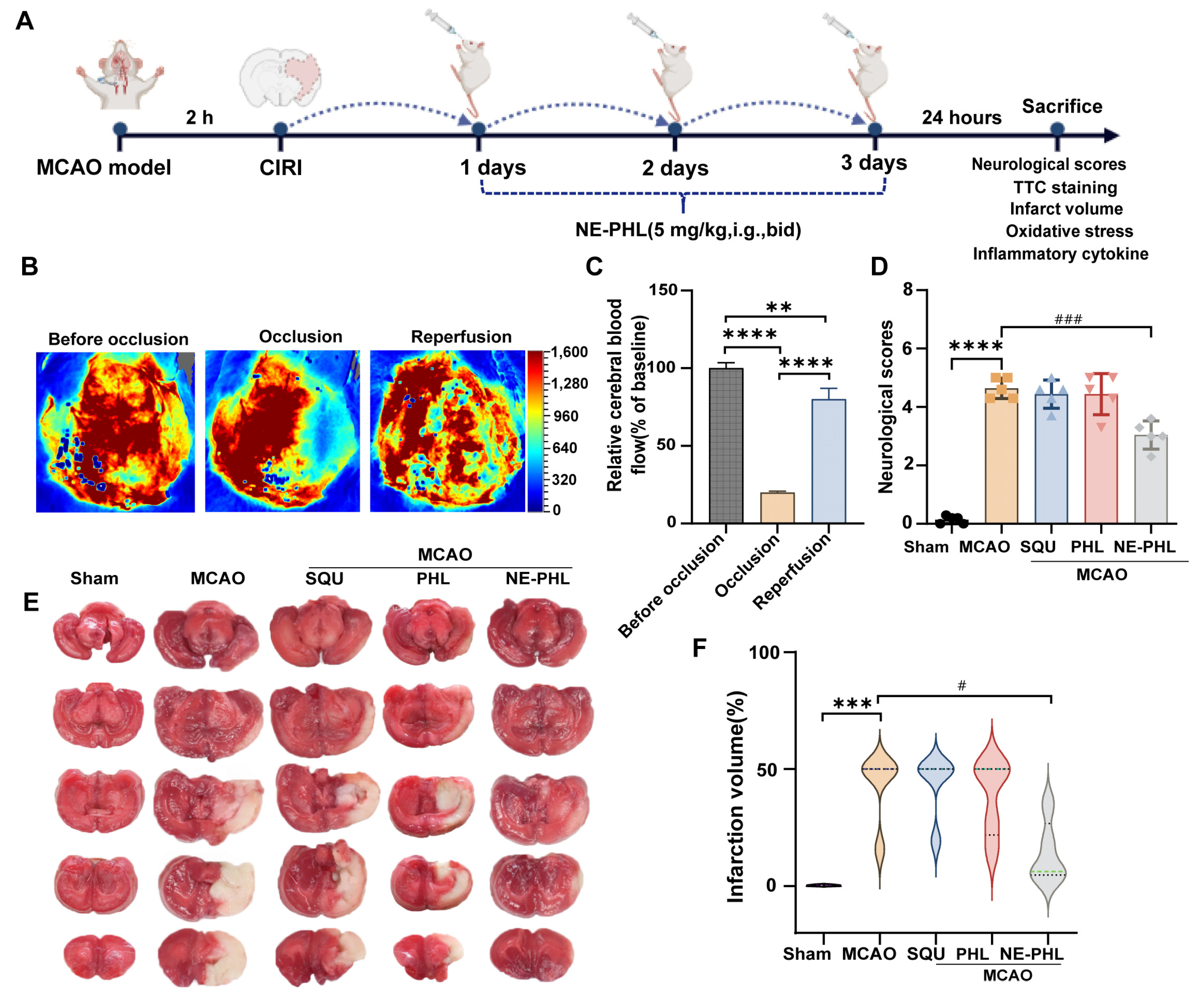 Pharmaceutics 17 01599 g003 Pharmaceutics 17 01599 g003