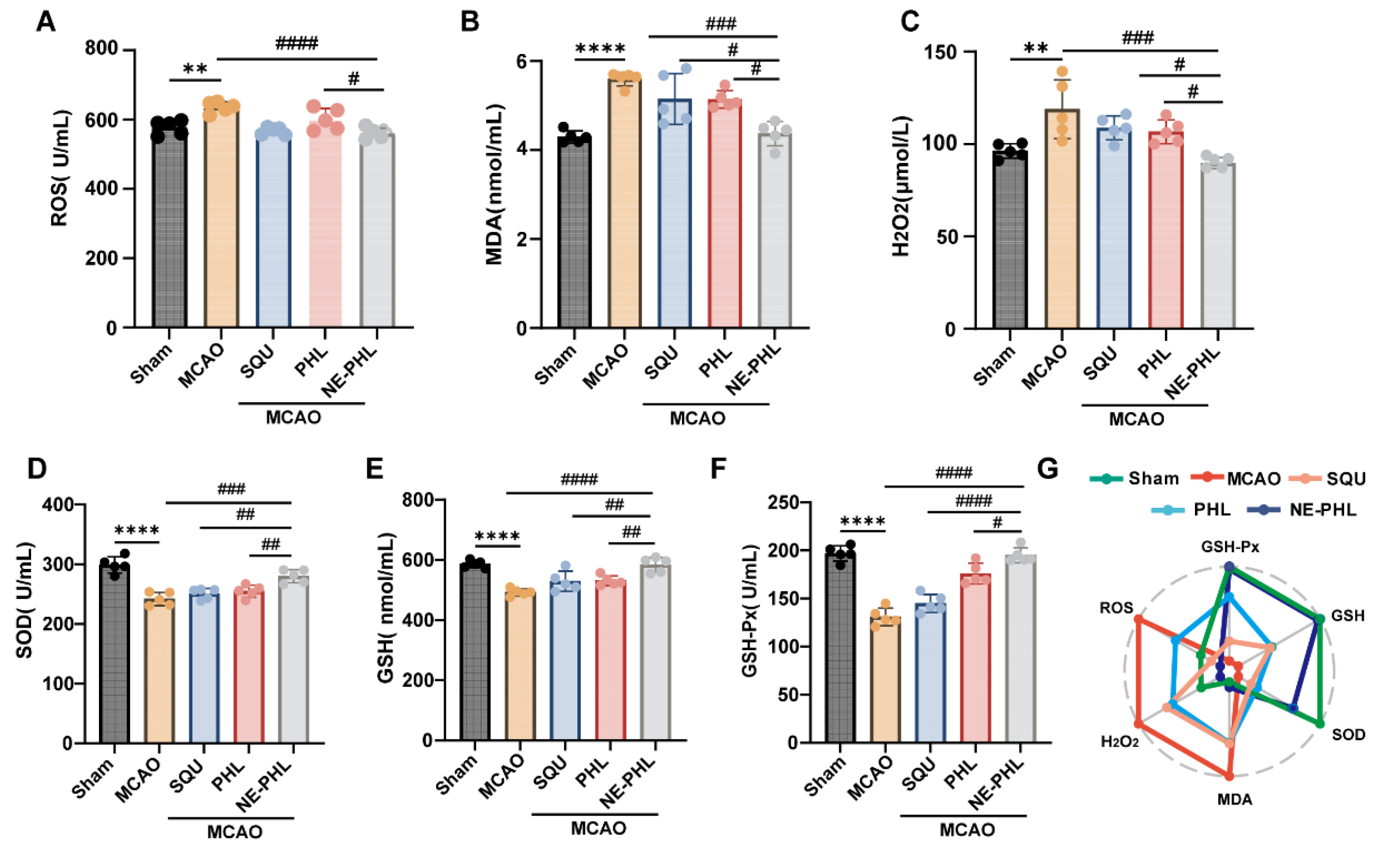 Pharmaceutics 17 01599 g004 Pharmaceutics 17 01599 g004