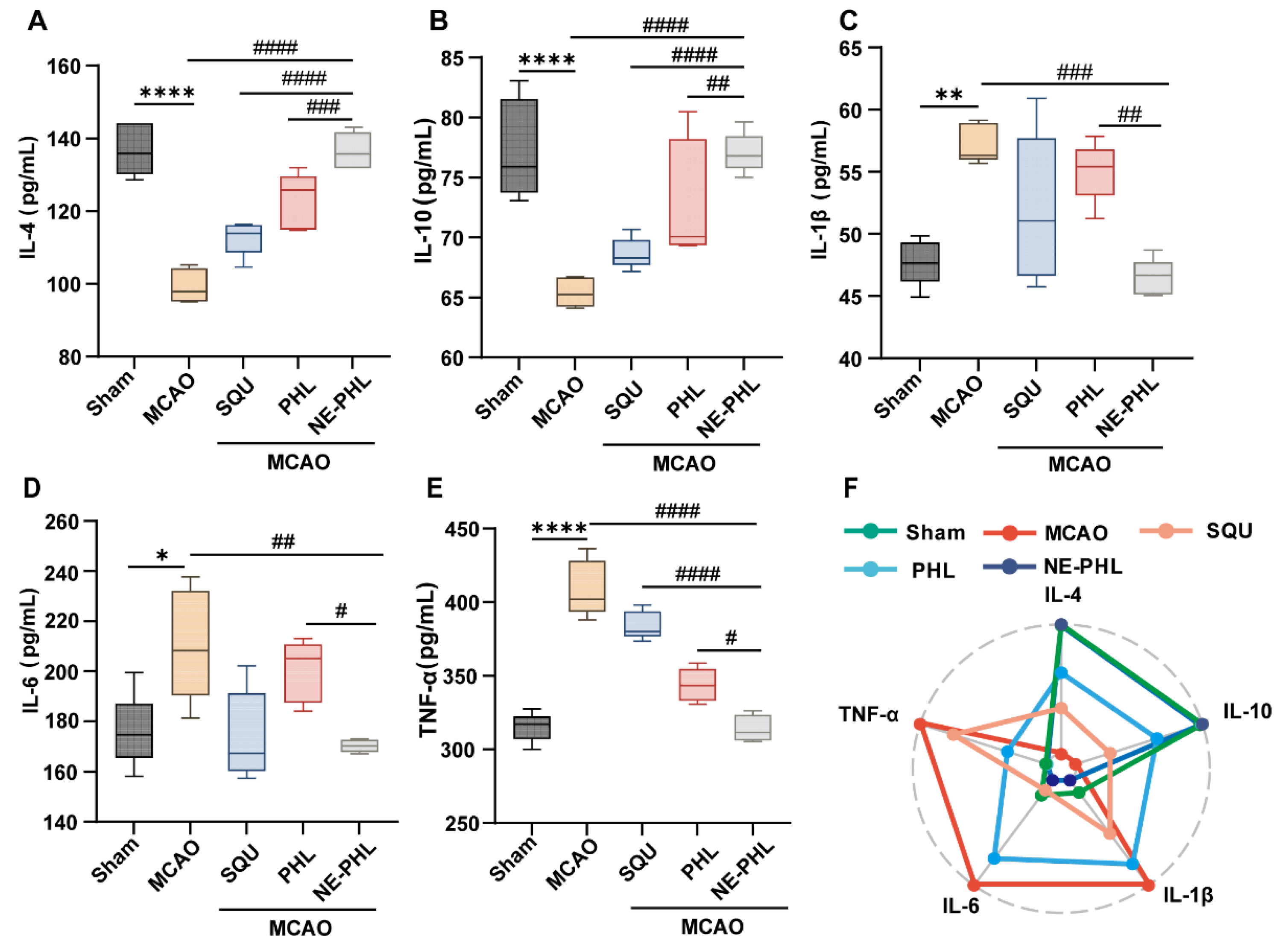 Pharmaceutics 17 01599 g005 Pharmaceutics 17 01599 g005