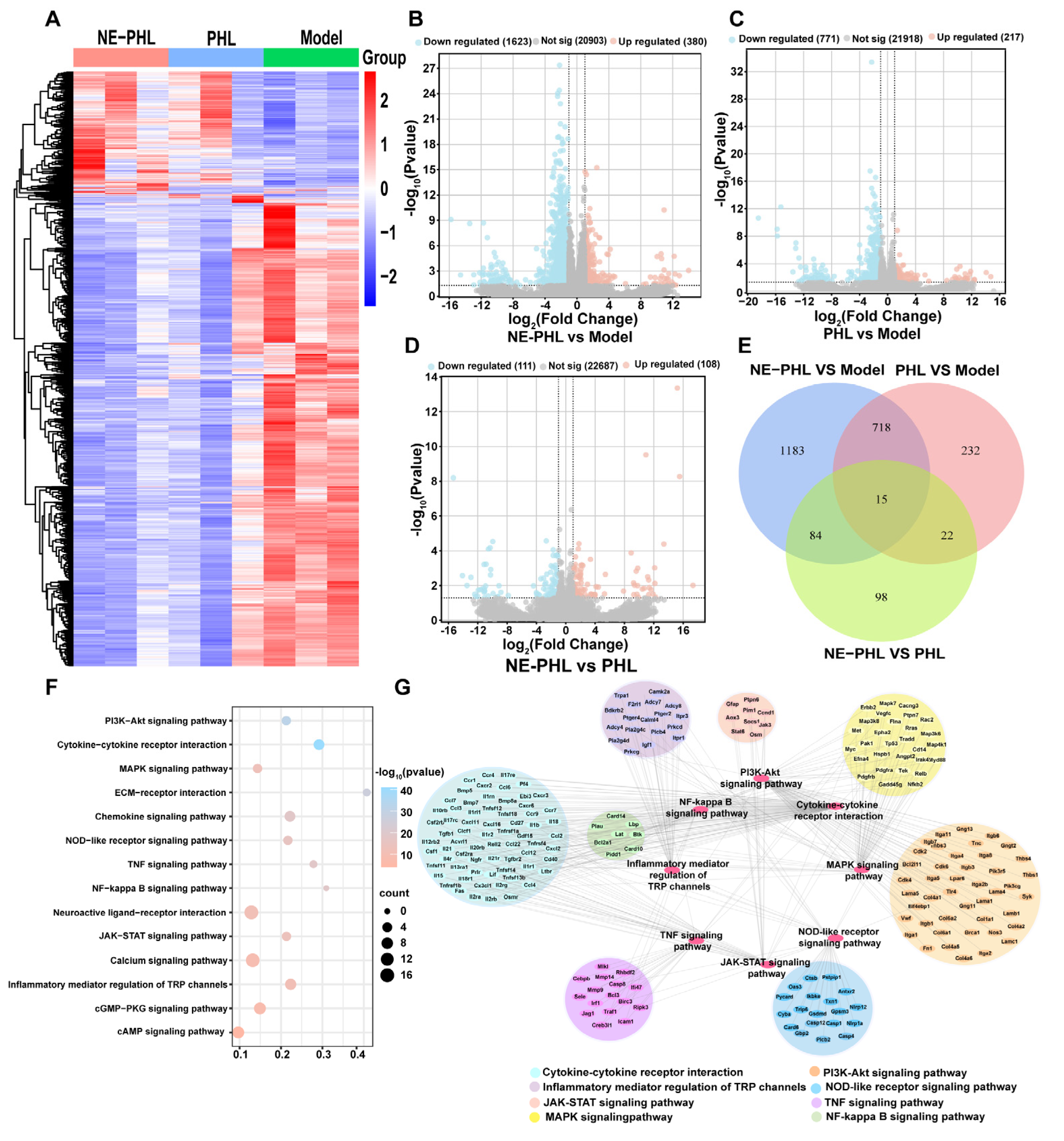 Pharmaceutics 17 01599 g006 Pharmaceutics 17 01599 g006