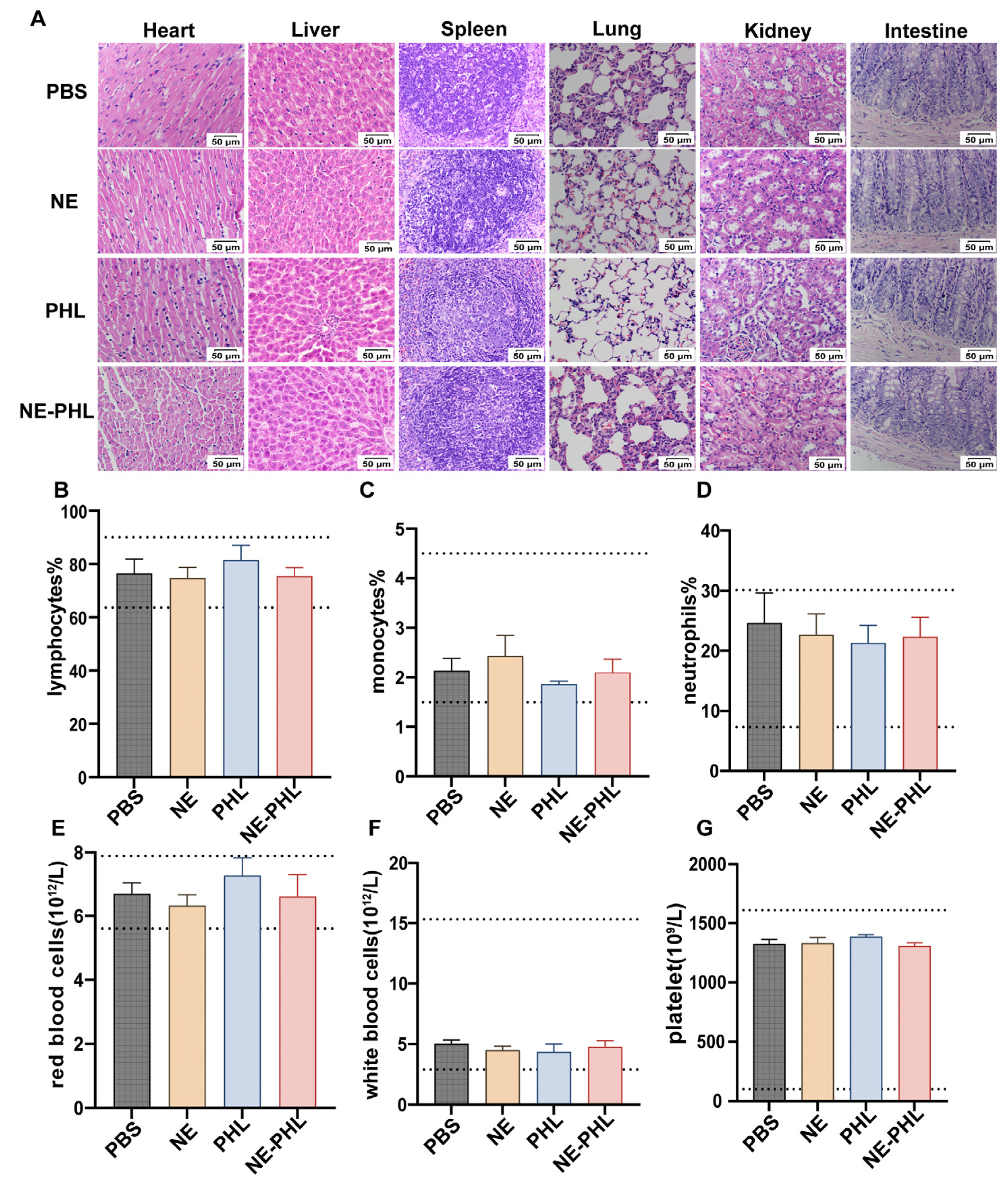 Pharmaceutics 17 01599 g007 Pharmaceutics 17 01599 g007
