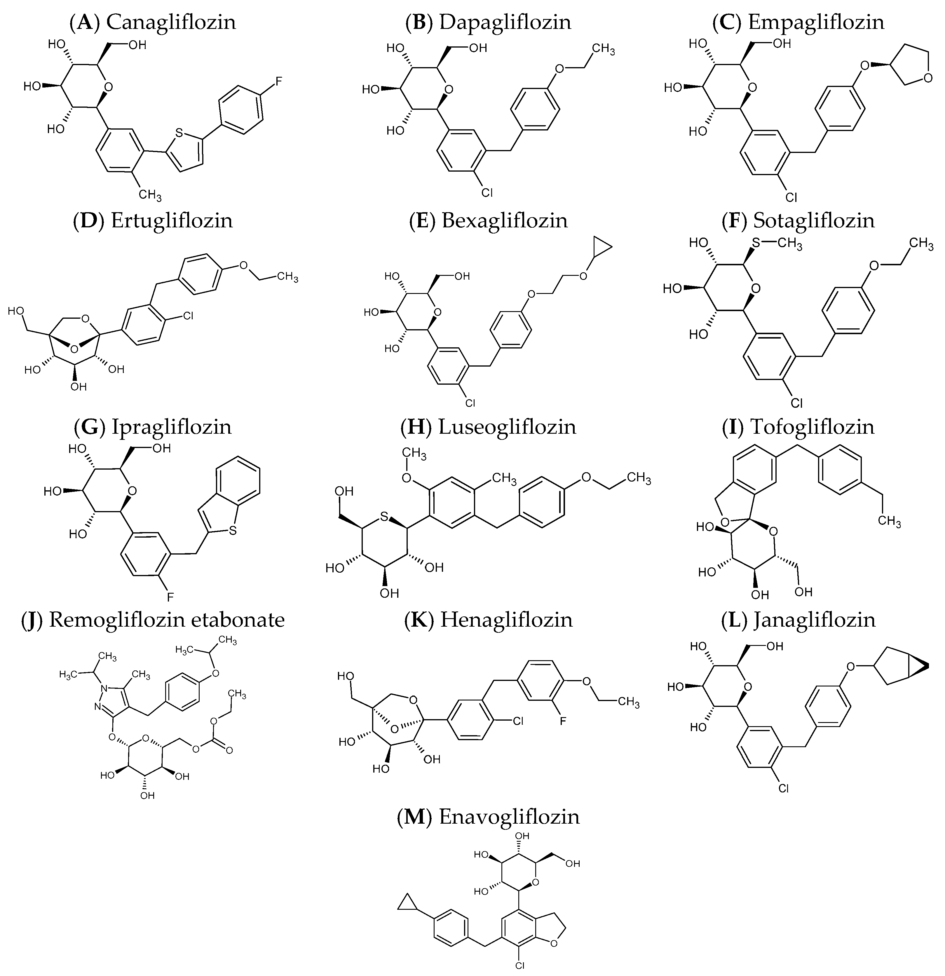 Pharmaceutics 17 01604 g001 Pharmaceutics 17 01604 g001