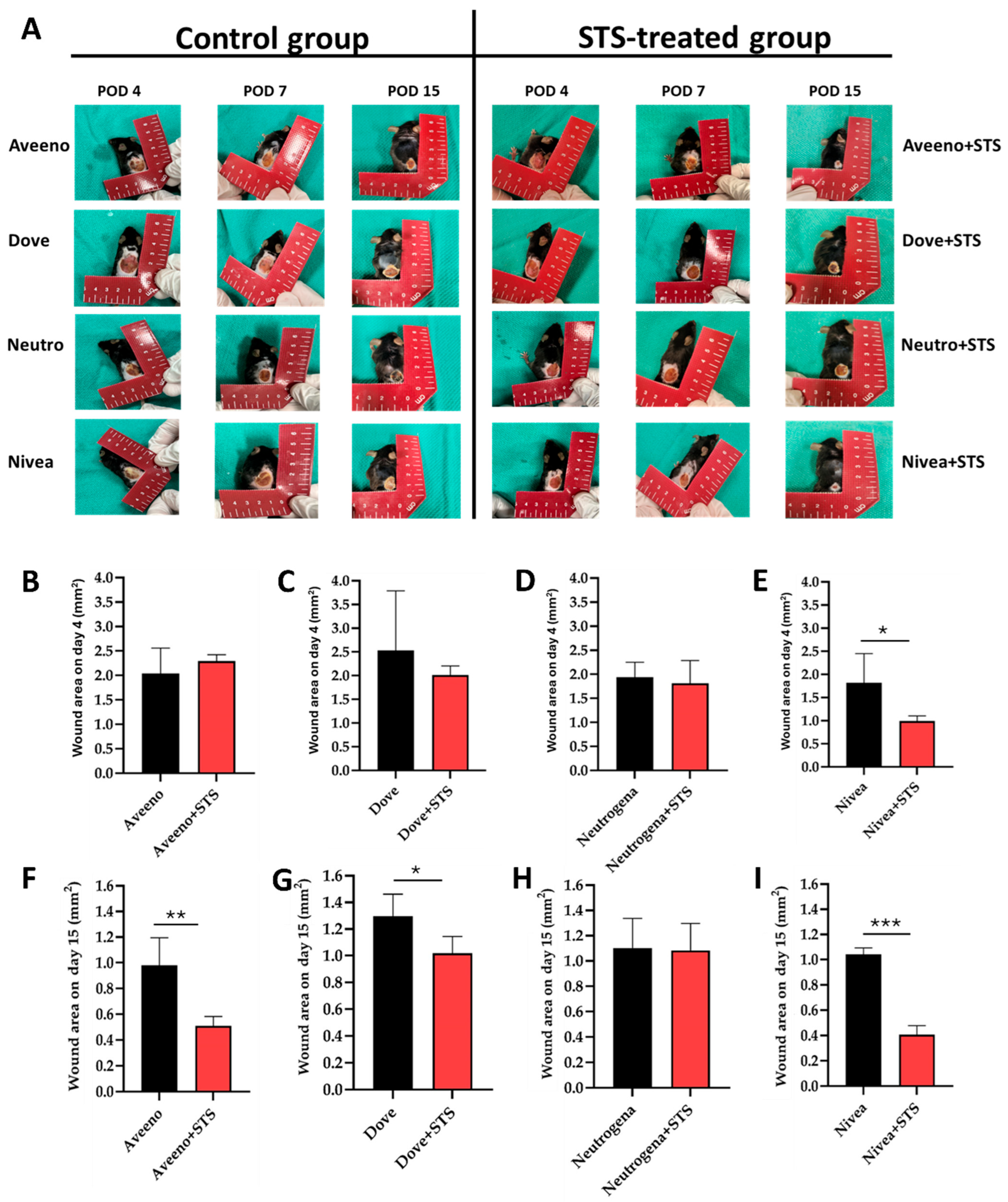 Pharmaceutics 17 01610 g002 Pharmaceutics 17 01610 g002
