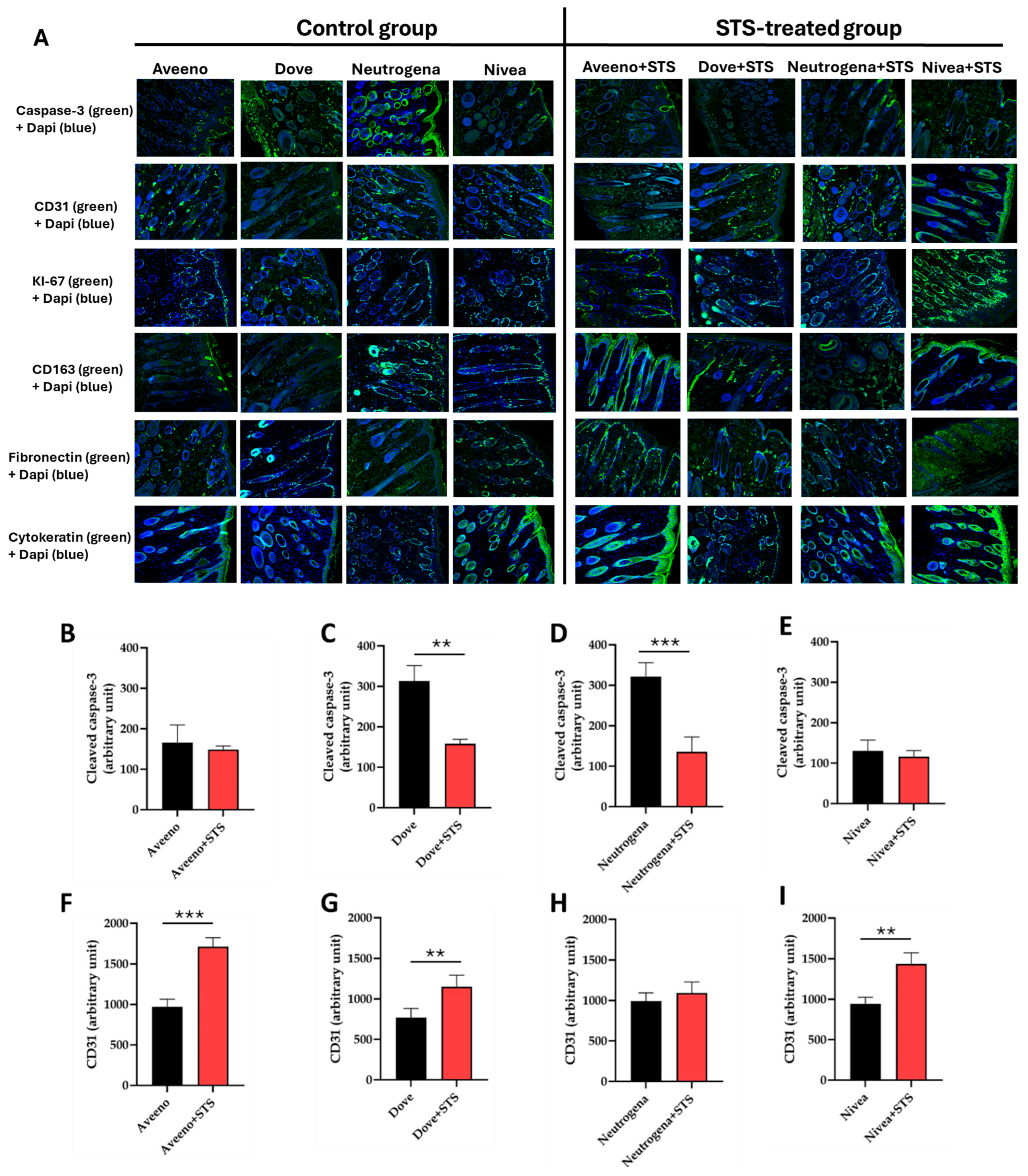 Pharmaceutics 17 01610 g004a Pharmaceutics 17 01610 g004a