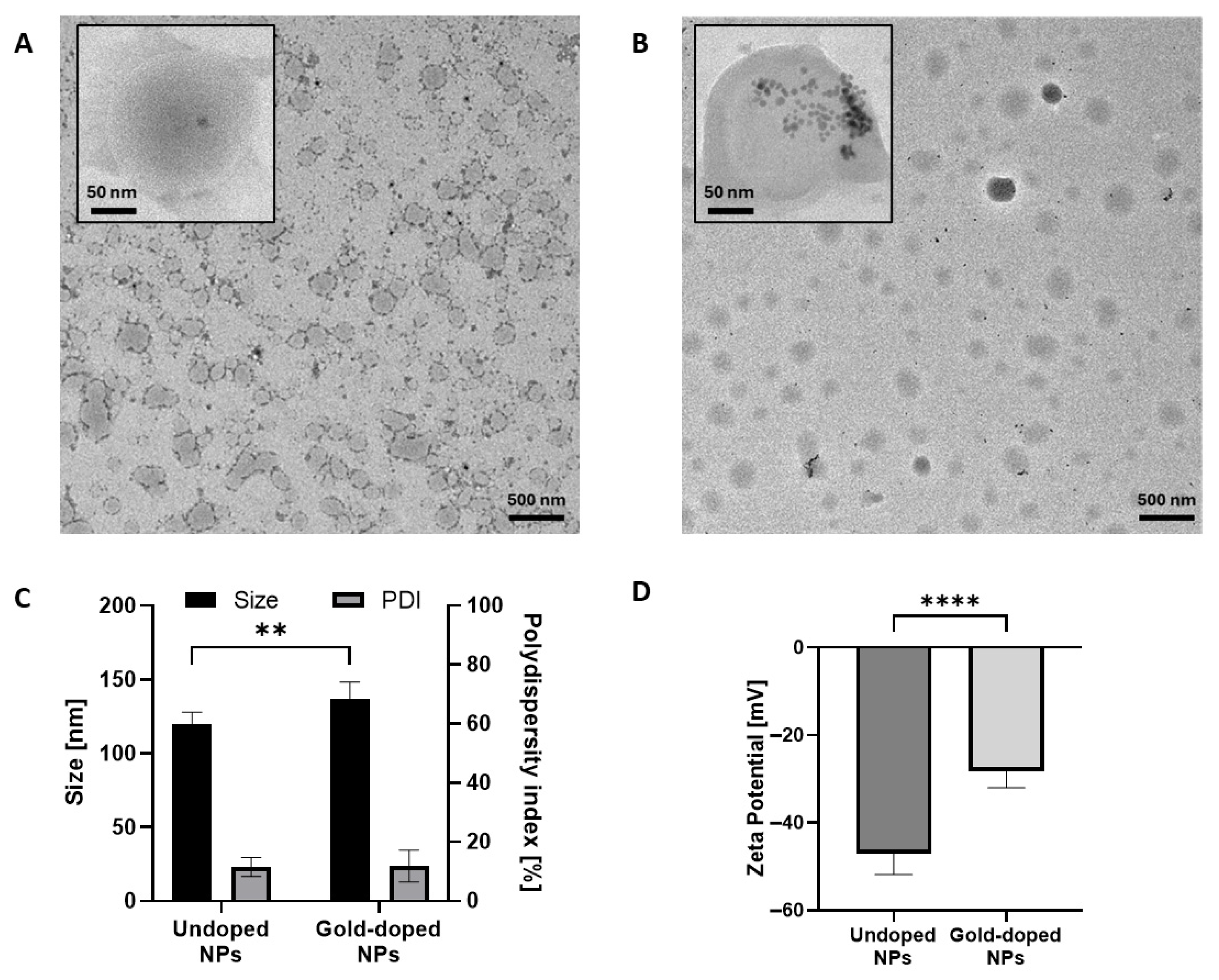 Pharmaceutics 17 01612 g001