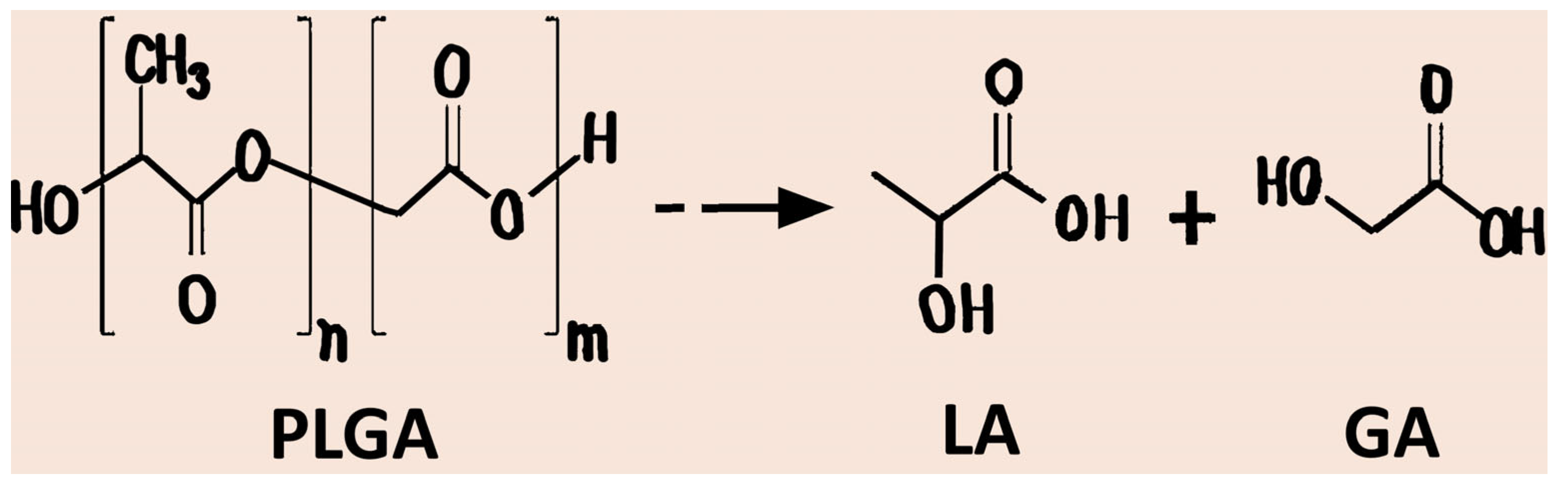 Pharmaceutics 17 01613 g001