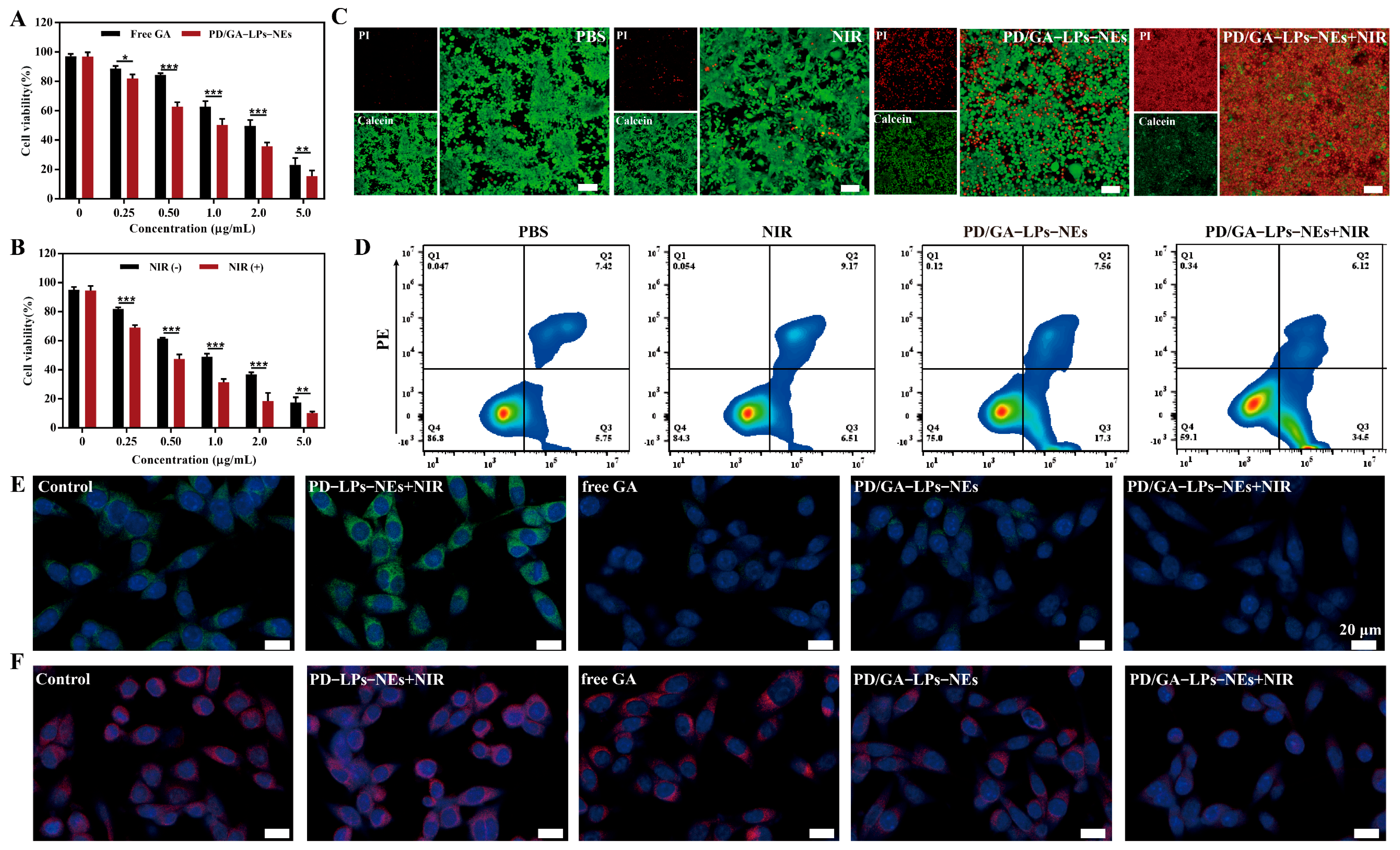 Pharmaceutics 17 01615 g003 Pharmaceutics 17 01615 g003