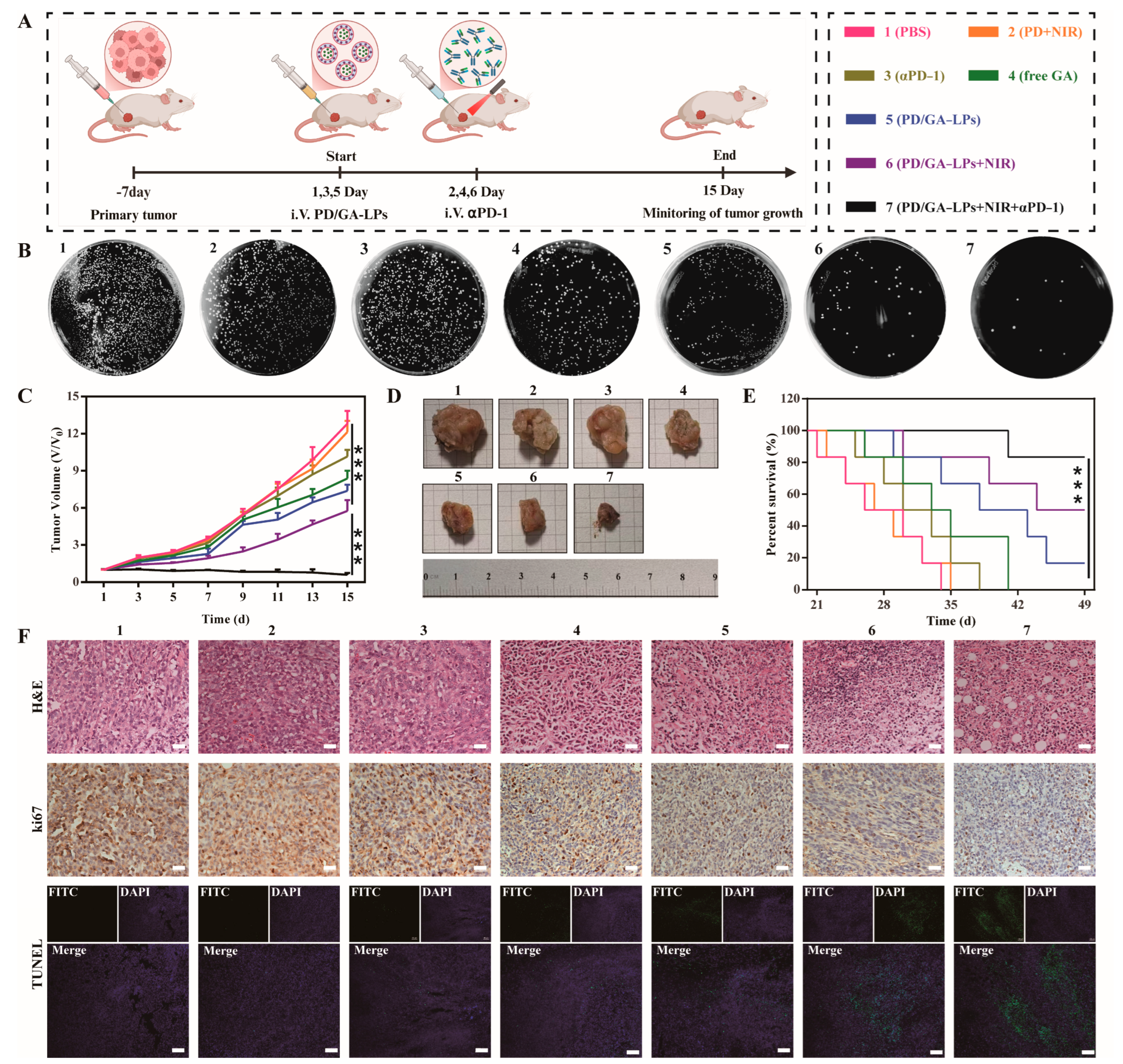 Pharmaceutics 17 01615 g006 Pharmaceutics 17 01615 g006