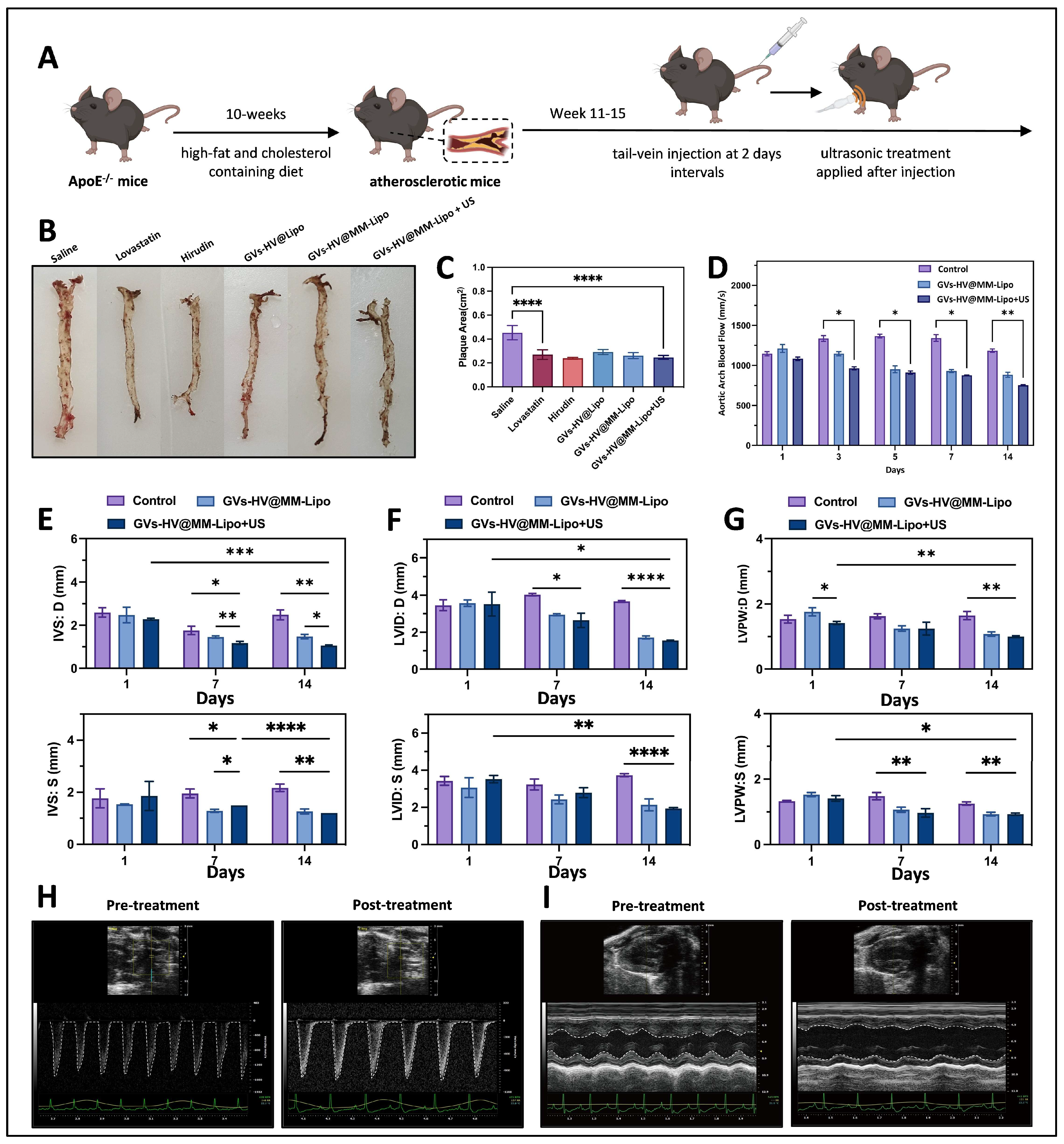 Pharmaceutics 17 01618 g005 Pharmaceutics 17 01618 g005