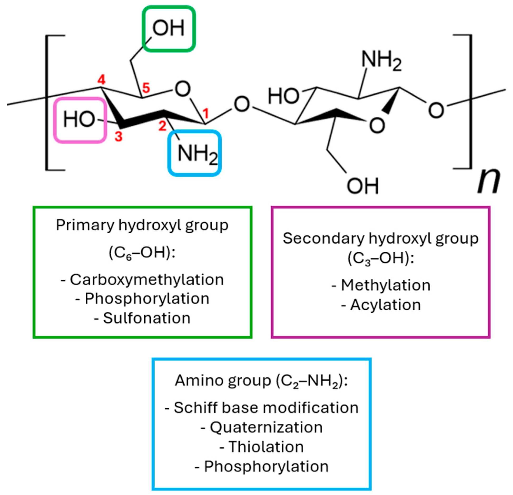 Pharmaceutics 17 01622 g003 Pharmaceutics 17 01622 g003
