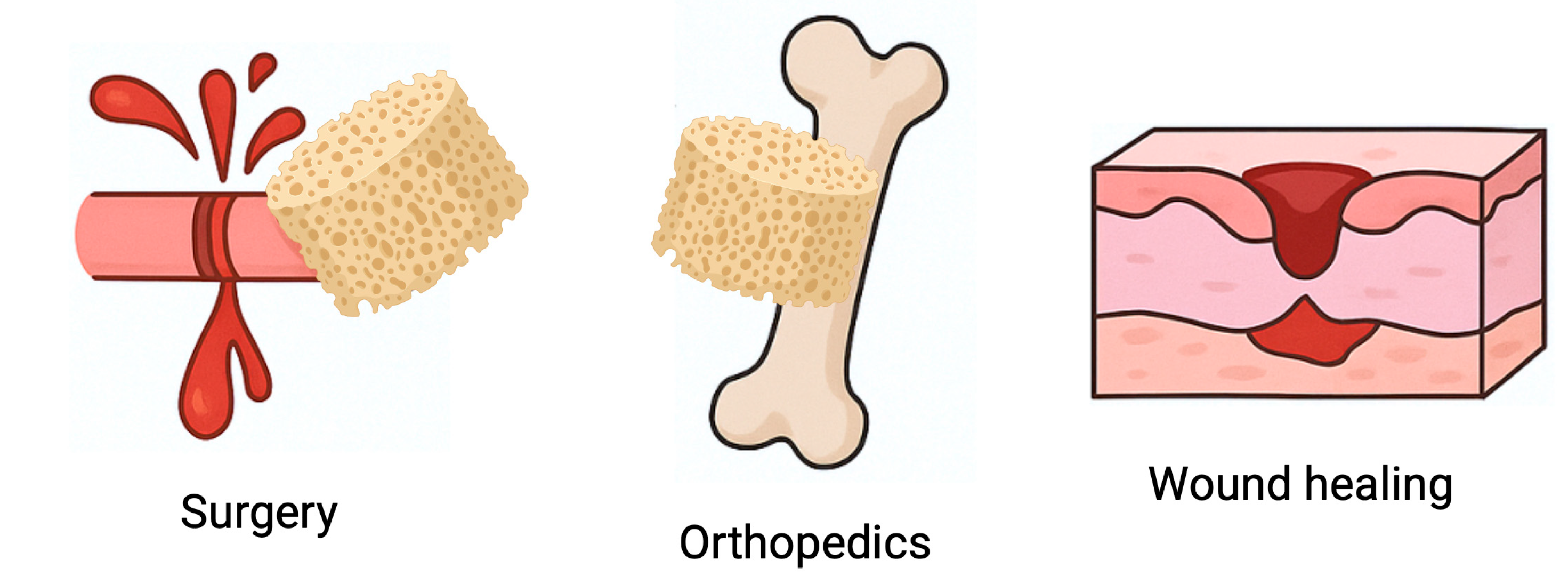 Pharmaceutics 17 01622 g012 Pharmaceutics 17 01622 g012