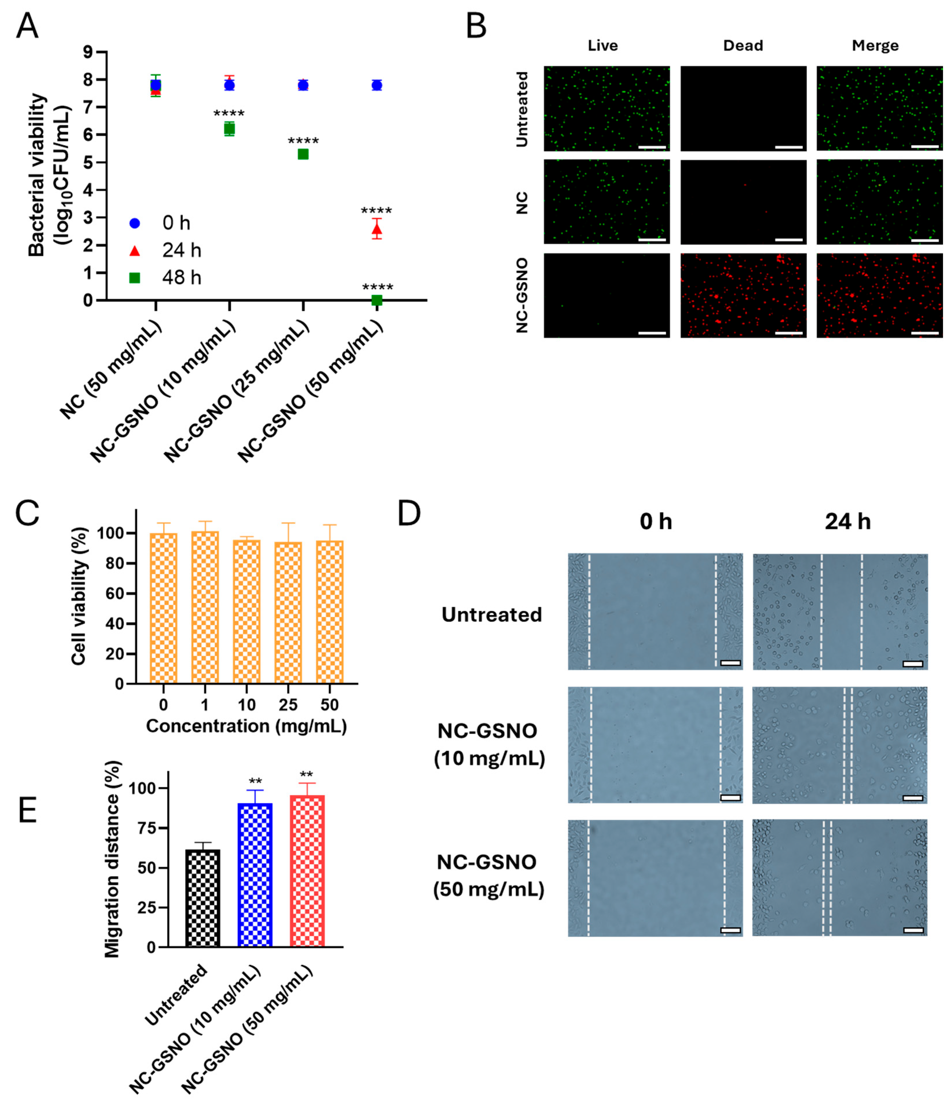 Pharmaceutics 17 01623 g004 Pharmaceutics 17 01623 g004