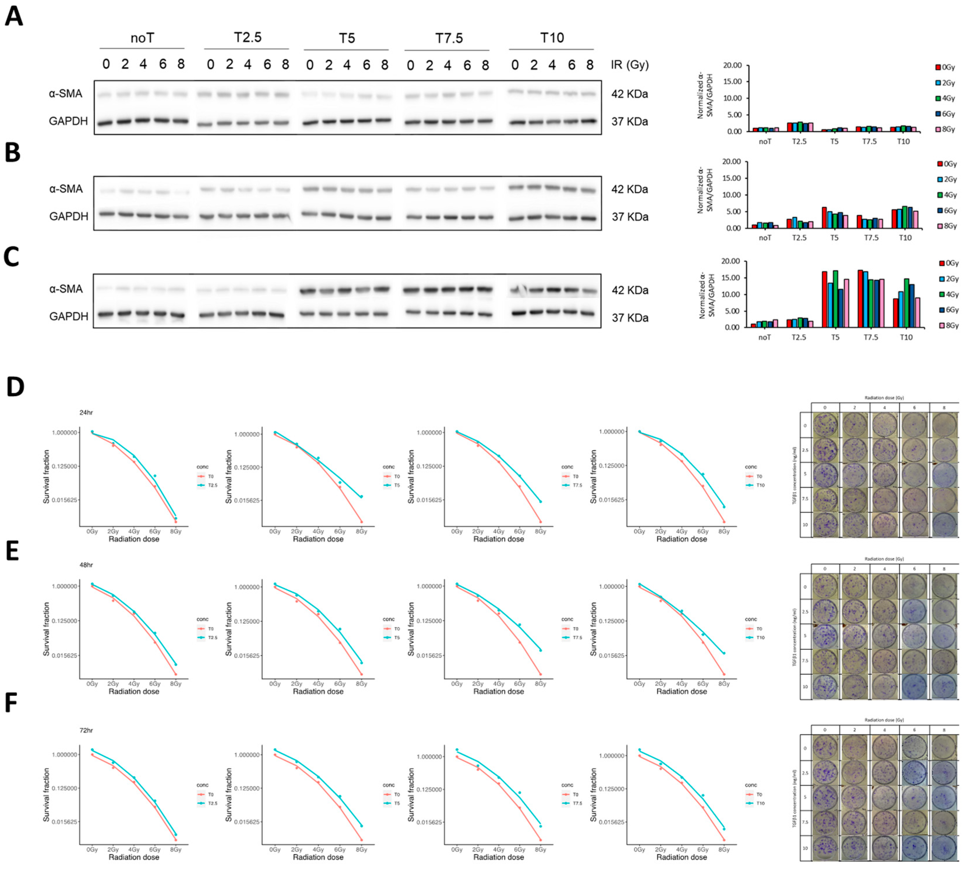 Pharmaceutics 17 01626 g002