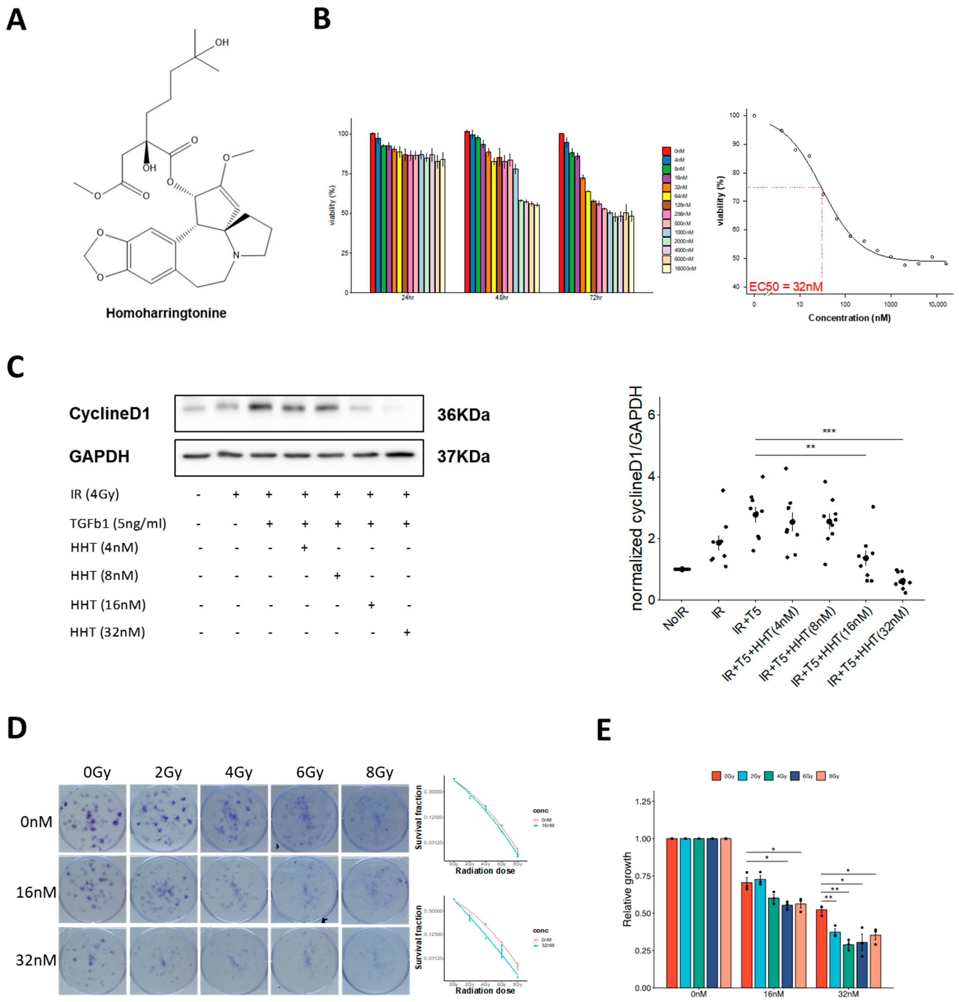 Pharmaceutics 17 01626 g004