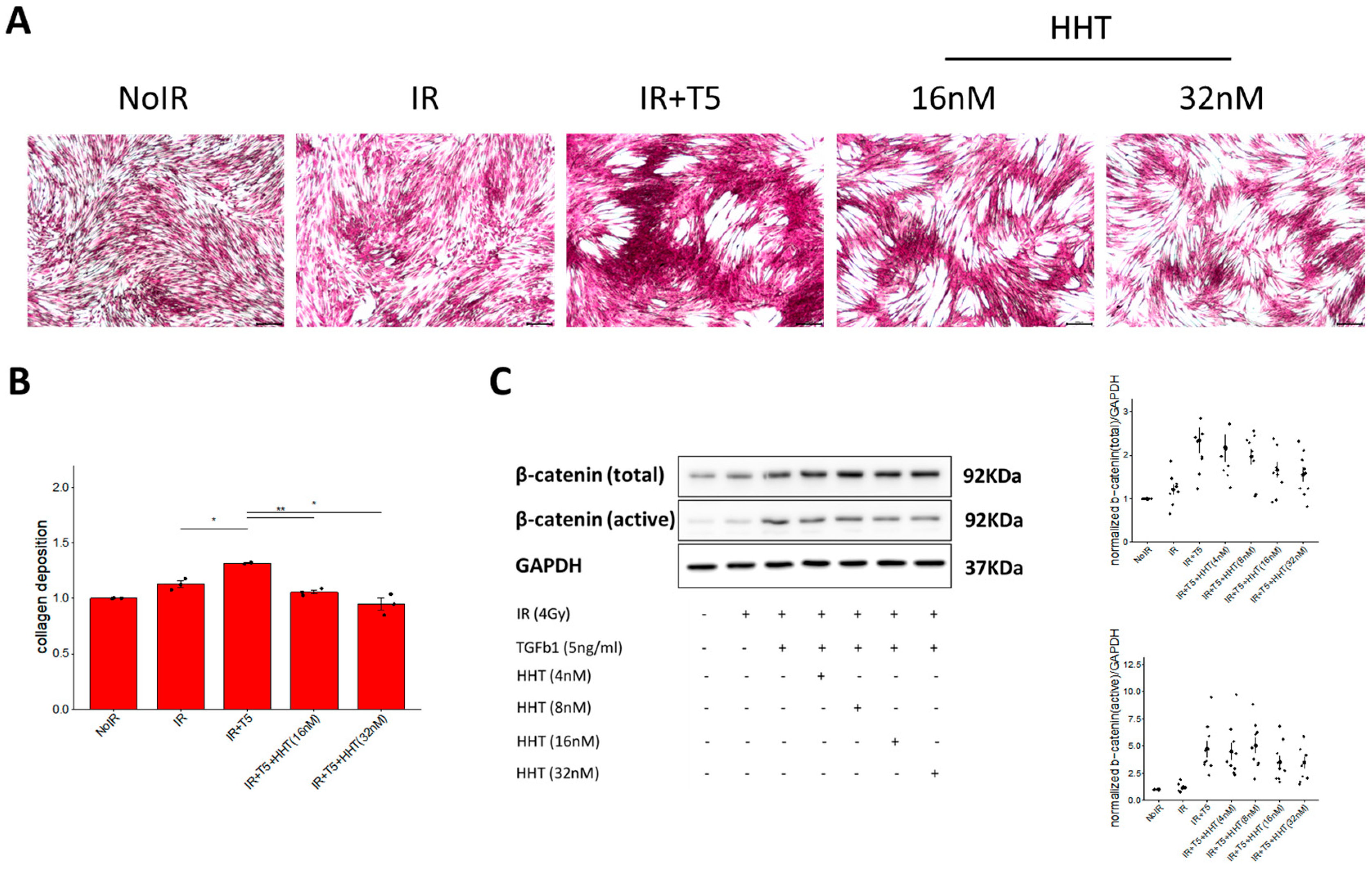 Pharmaceutics 17 01626 g006