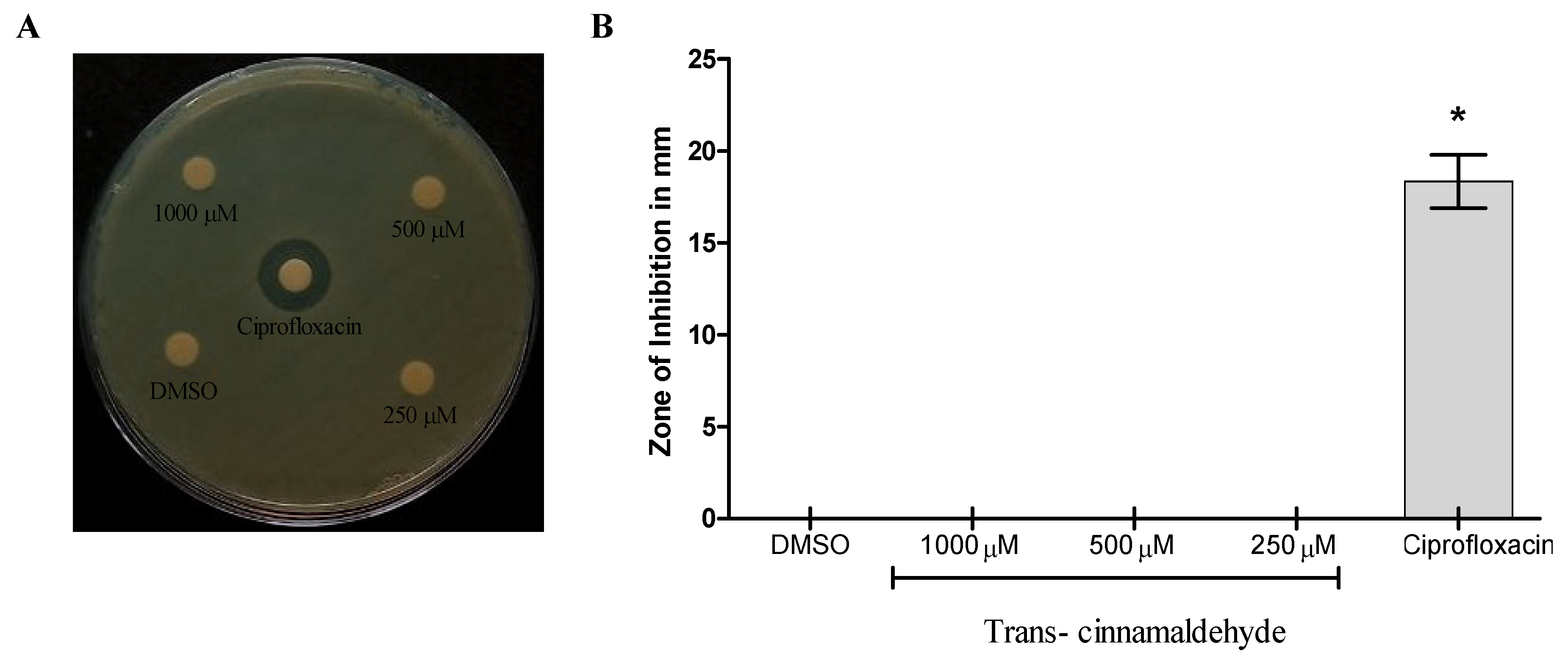 Pharmaceutics 18 00005 g001