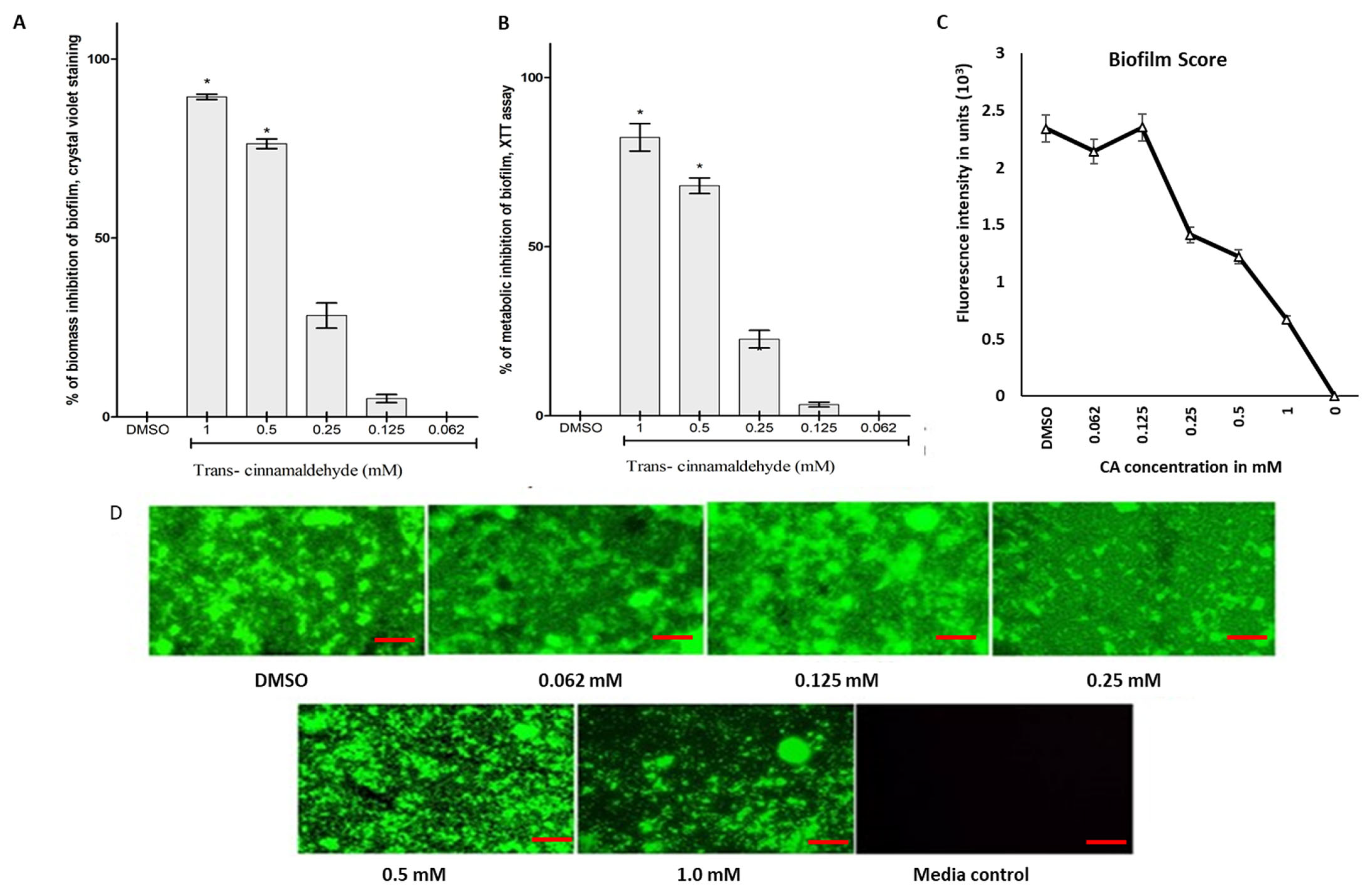 Pharmaceutics 18 00005 g002