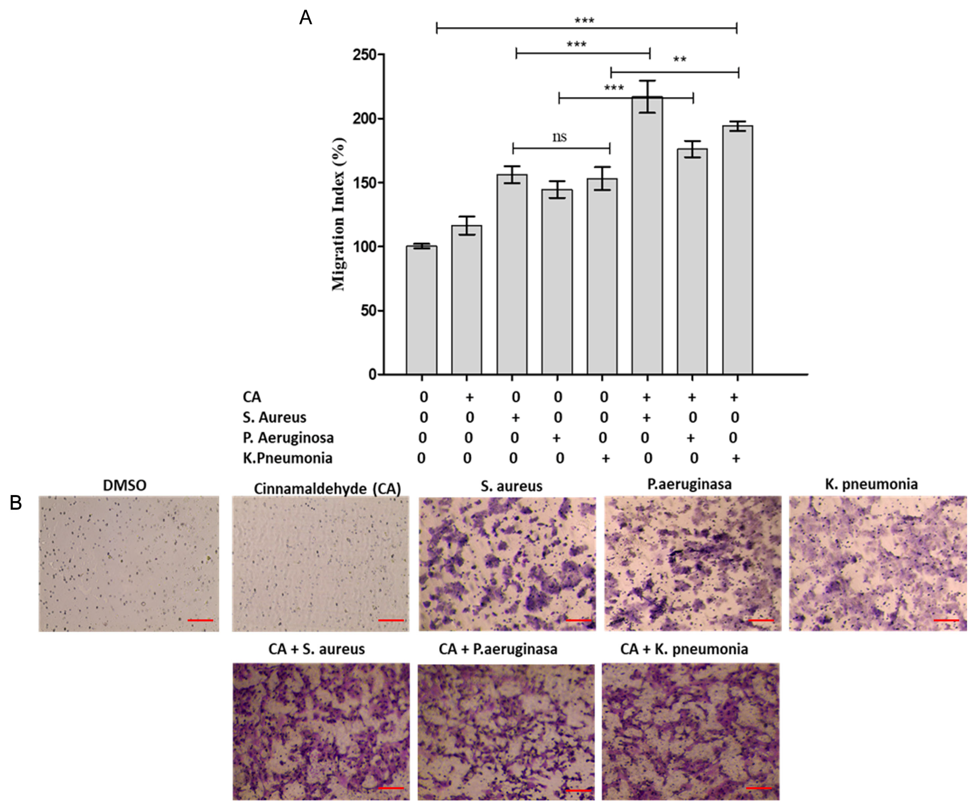 Pharmaceutics 18 00005 g004