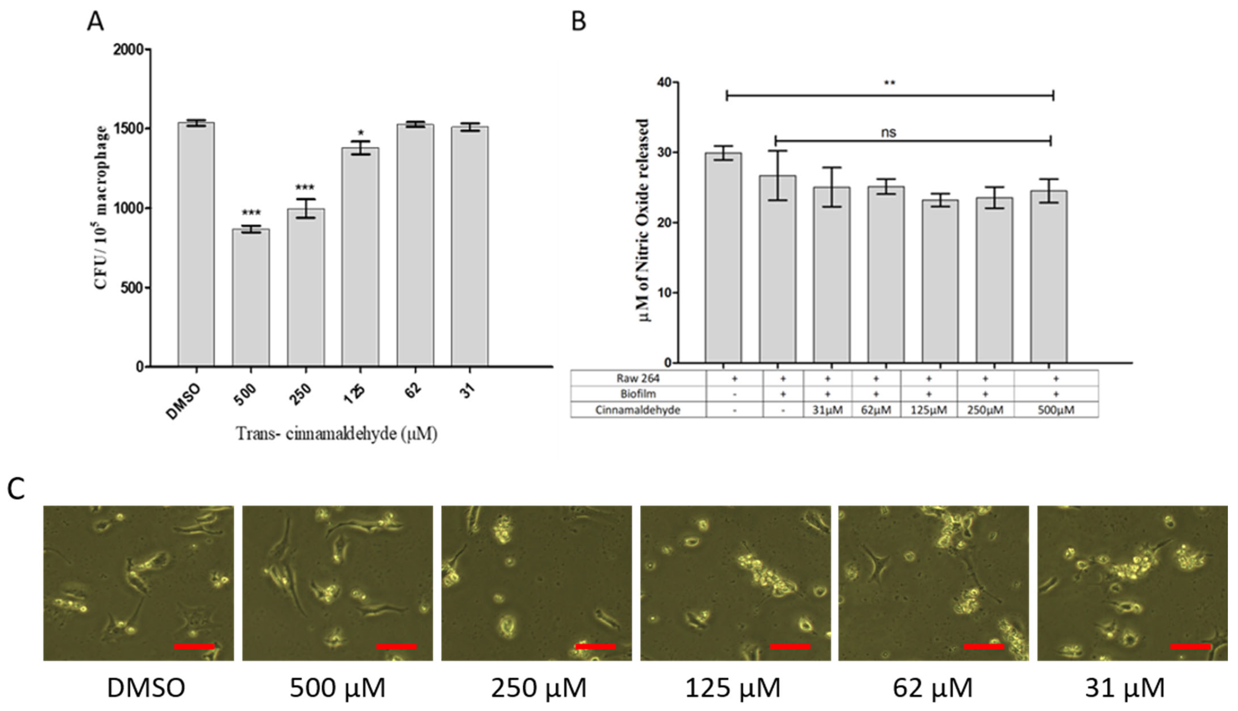 Pharmaceutics 18 00005 g006