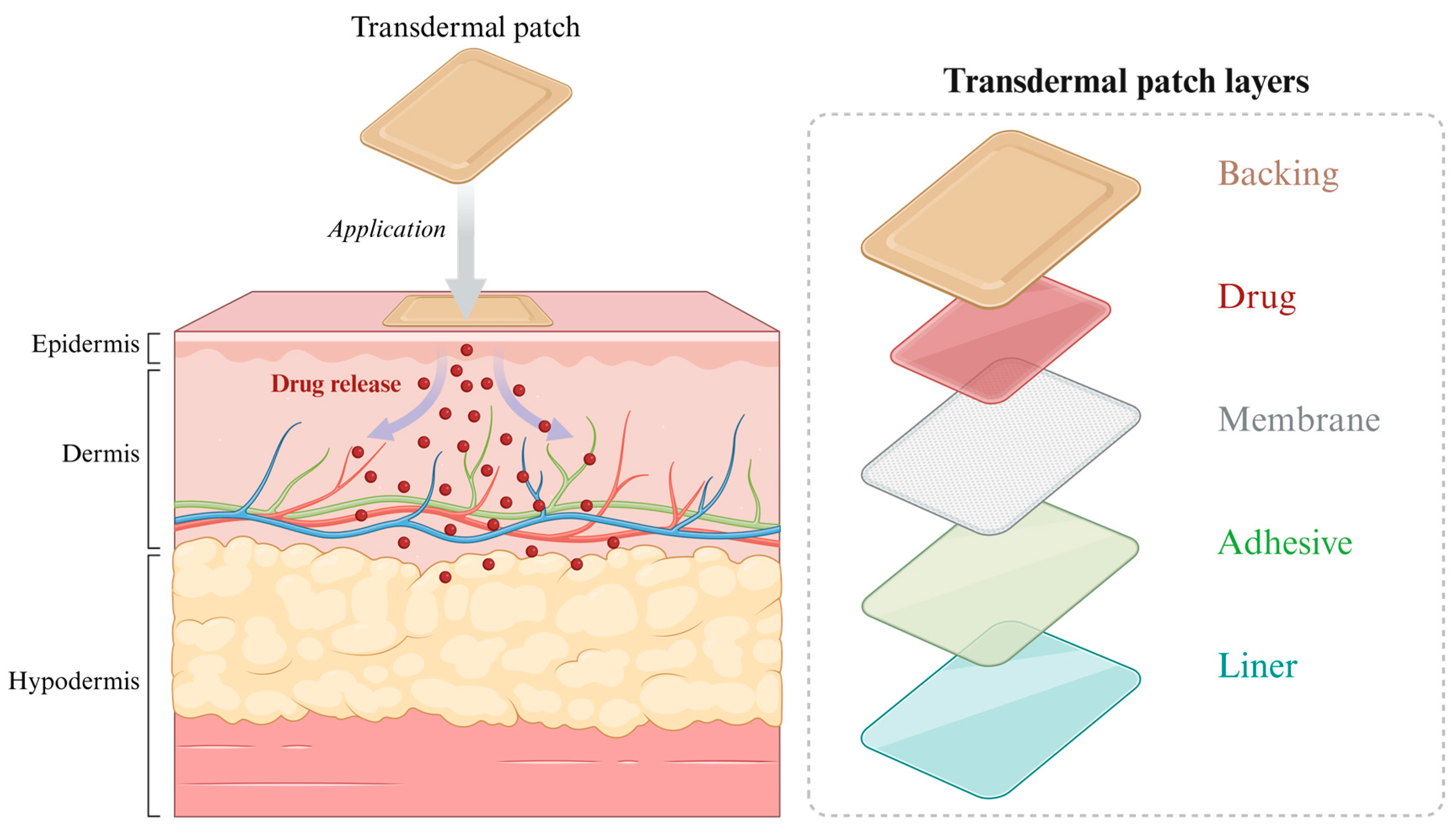 Pharmaceutics 18 00006 g006