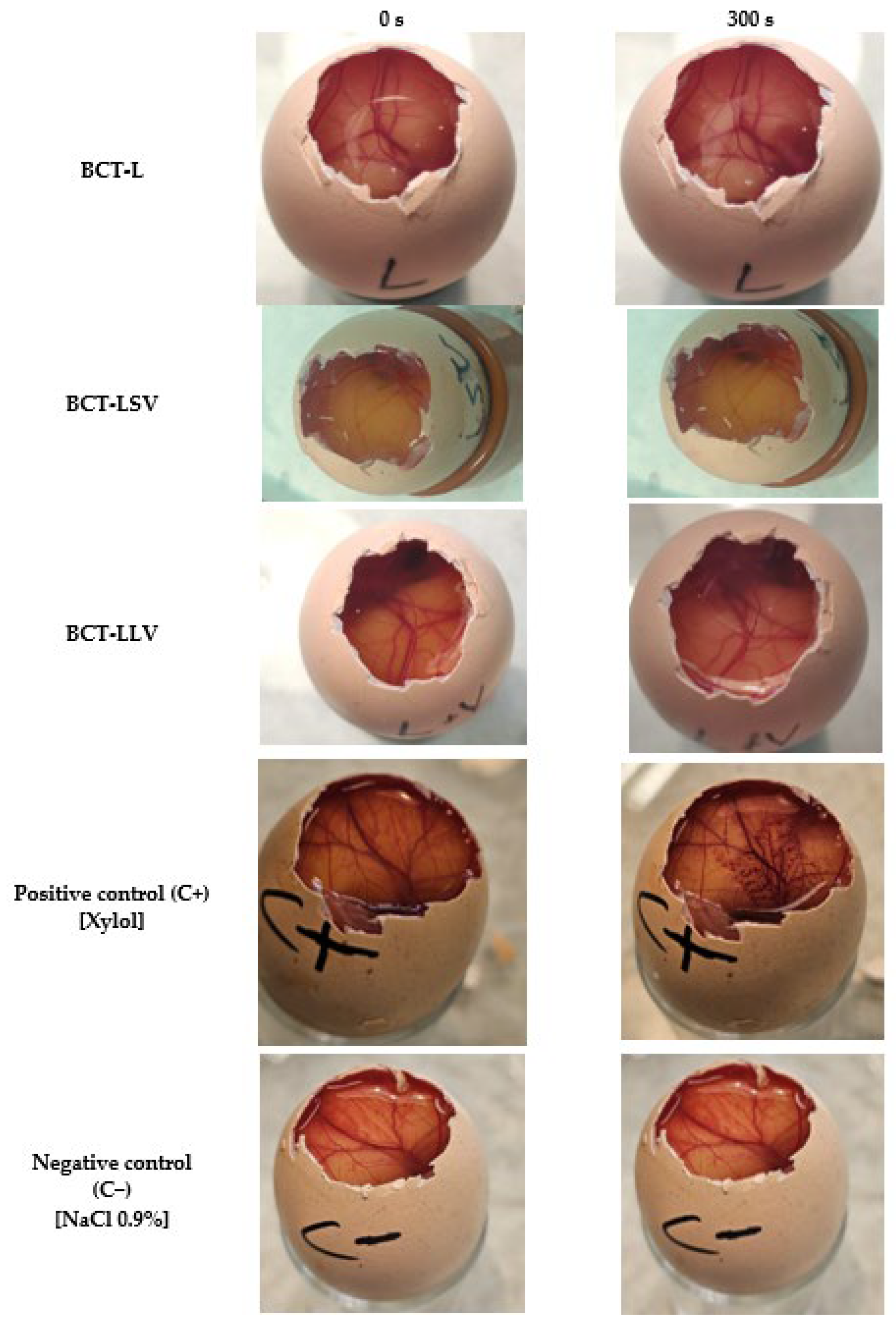 Pharmaceutics 18 00008 g007