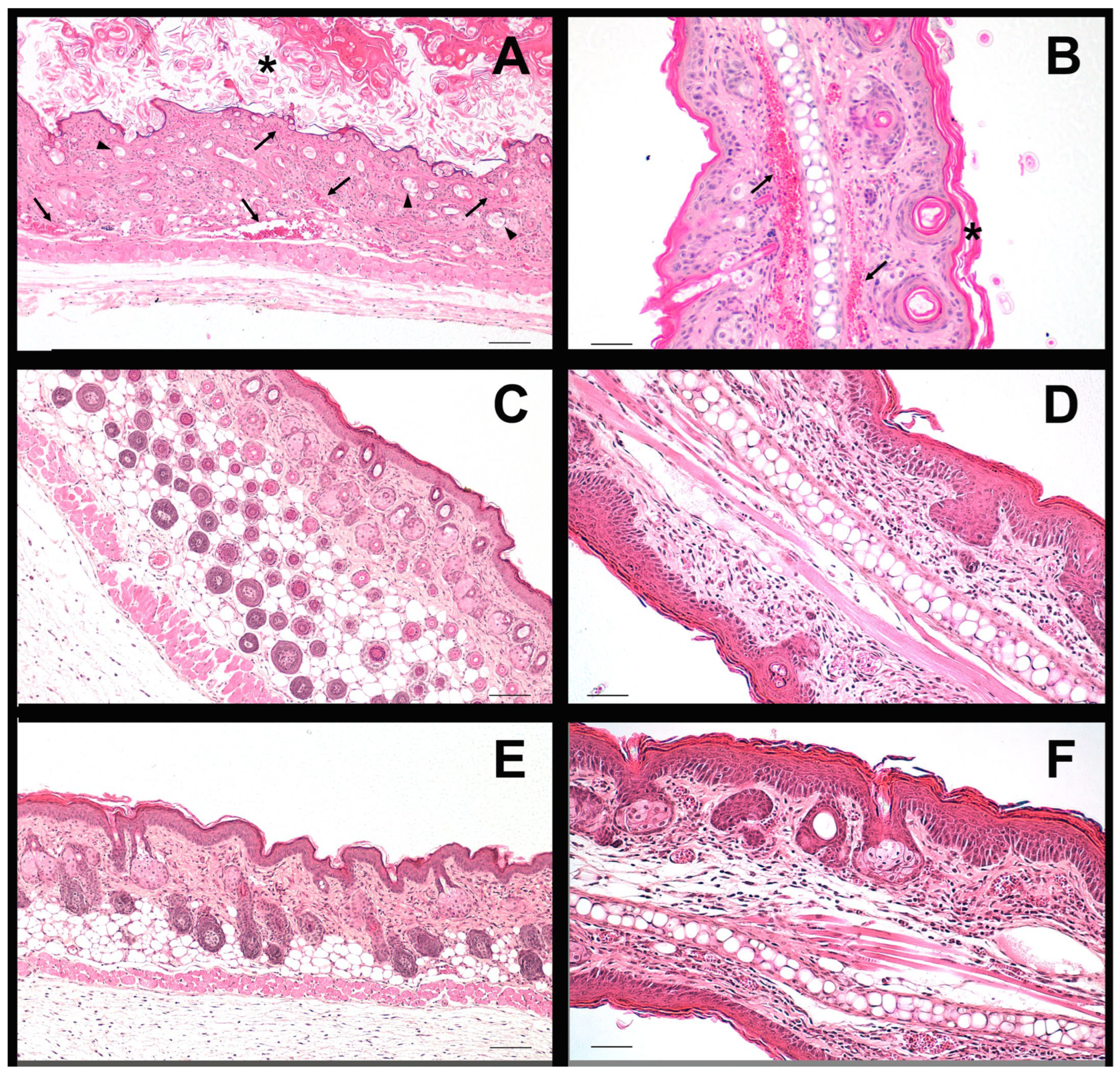 Pharmaceutics 18 00008 g011