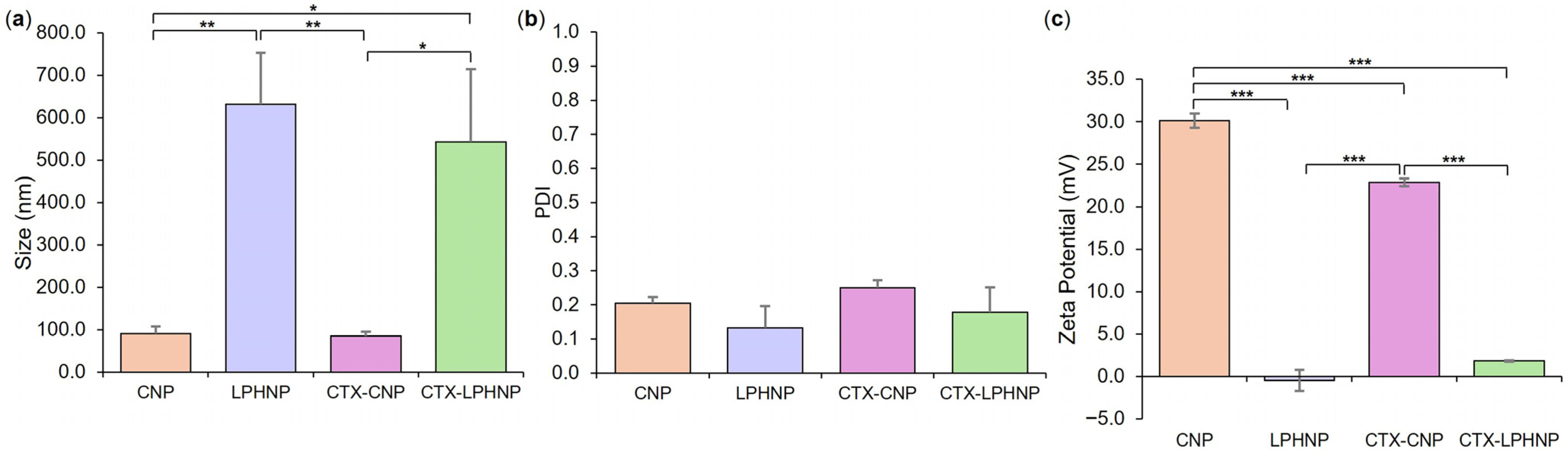 Pharmaceutics 18 00013 g002