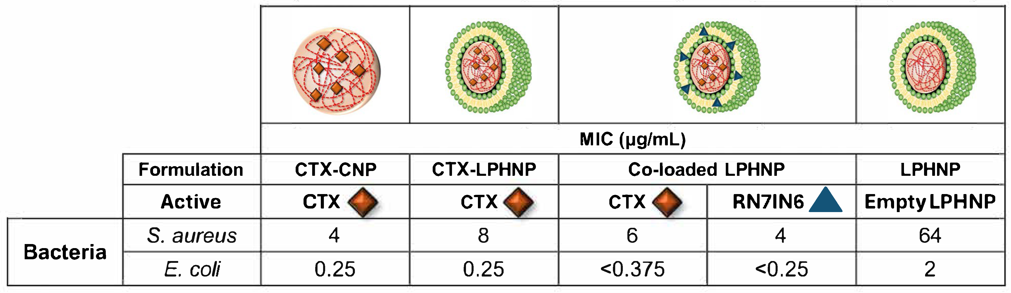 Pharmaceutics 18 00013 g006