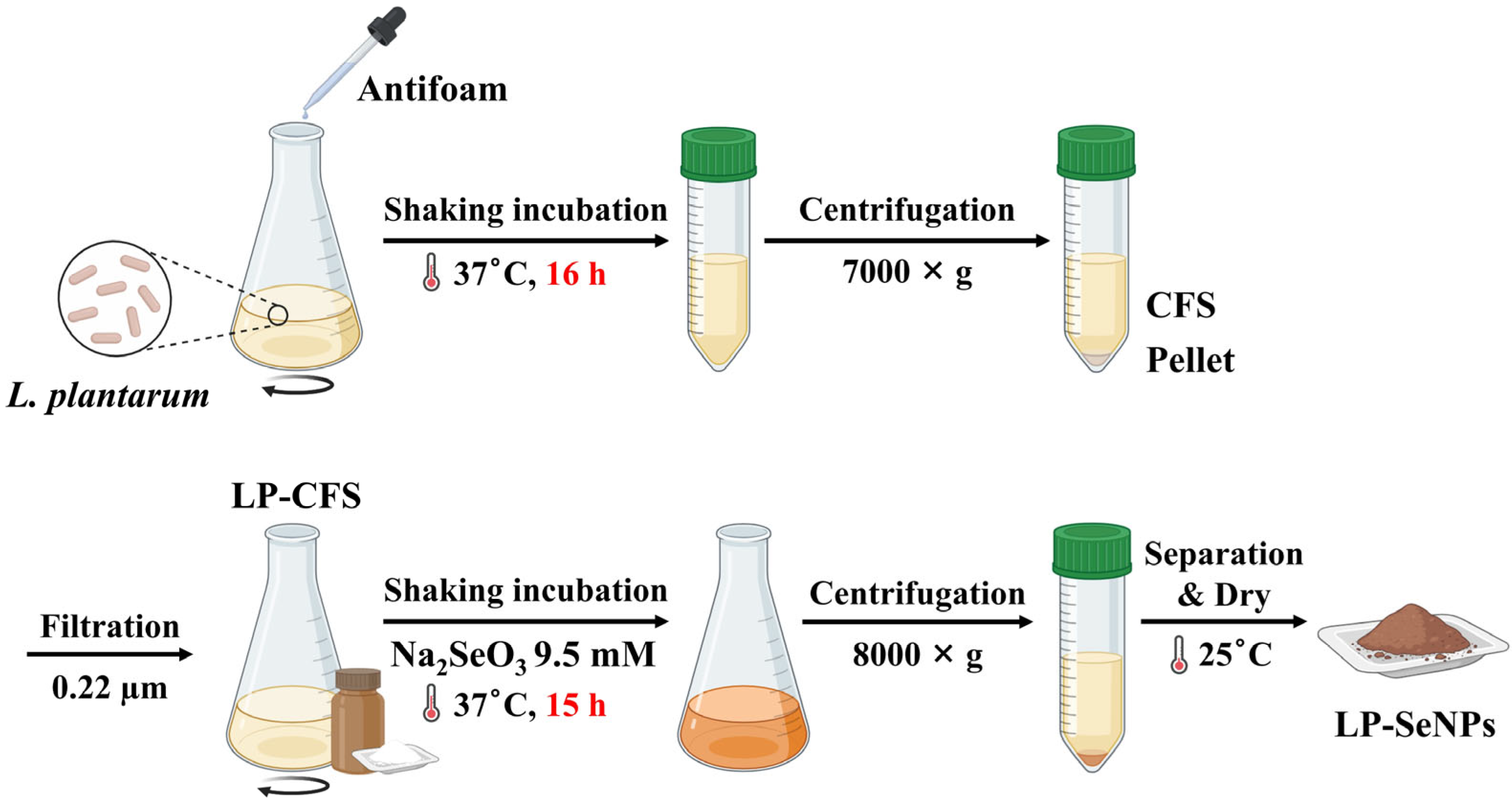 Pharmaceutics 18 00014 g001