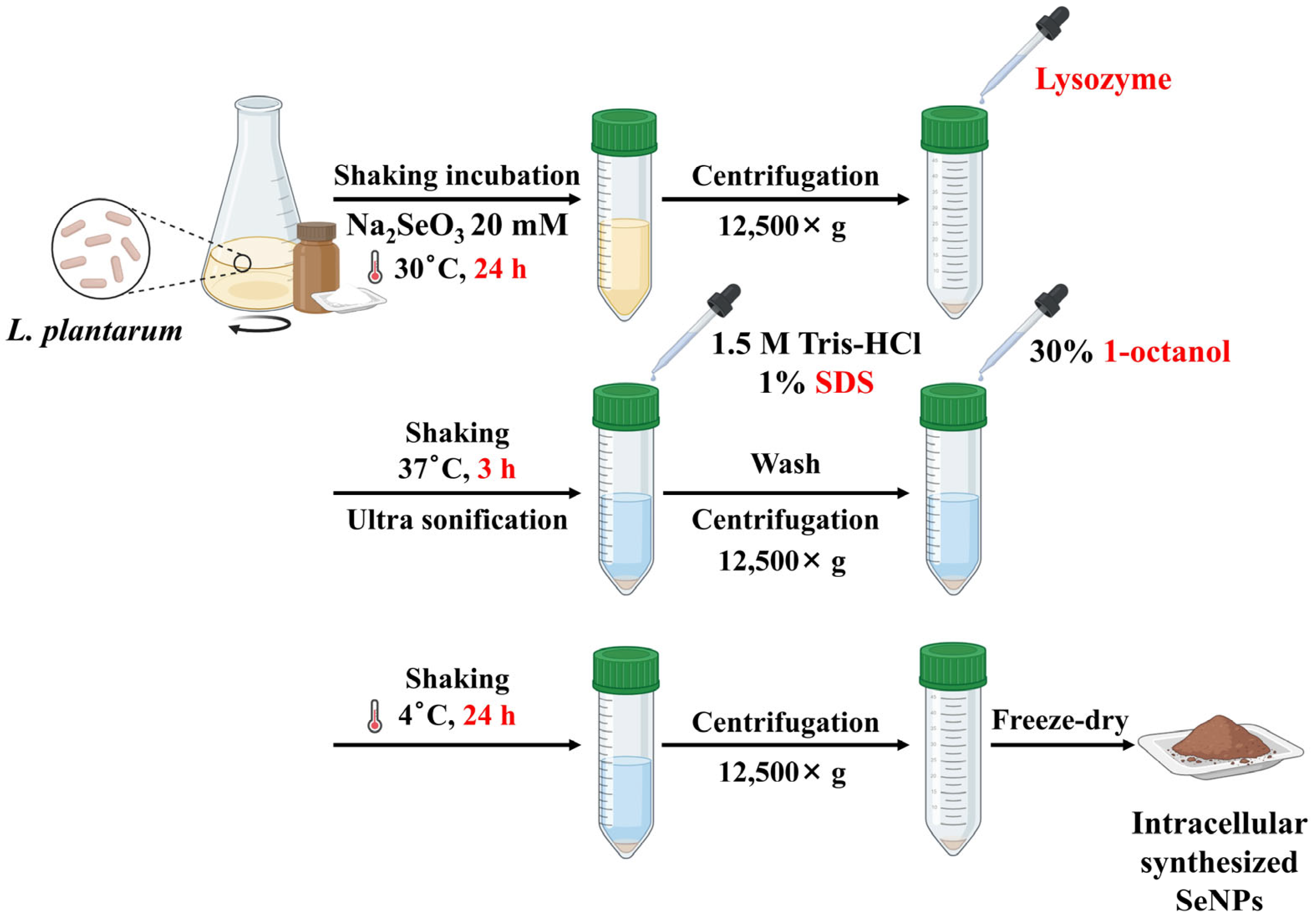 Pharmaceutics 18 00014 g002