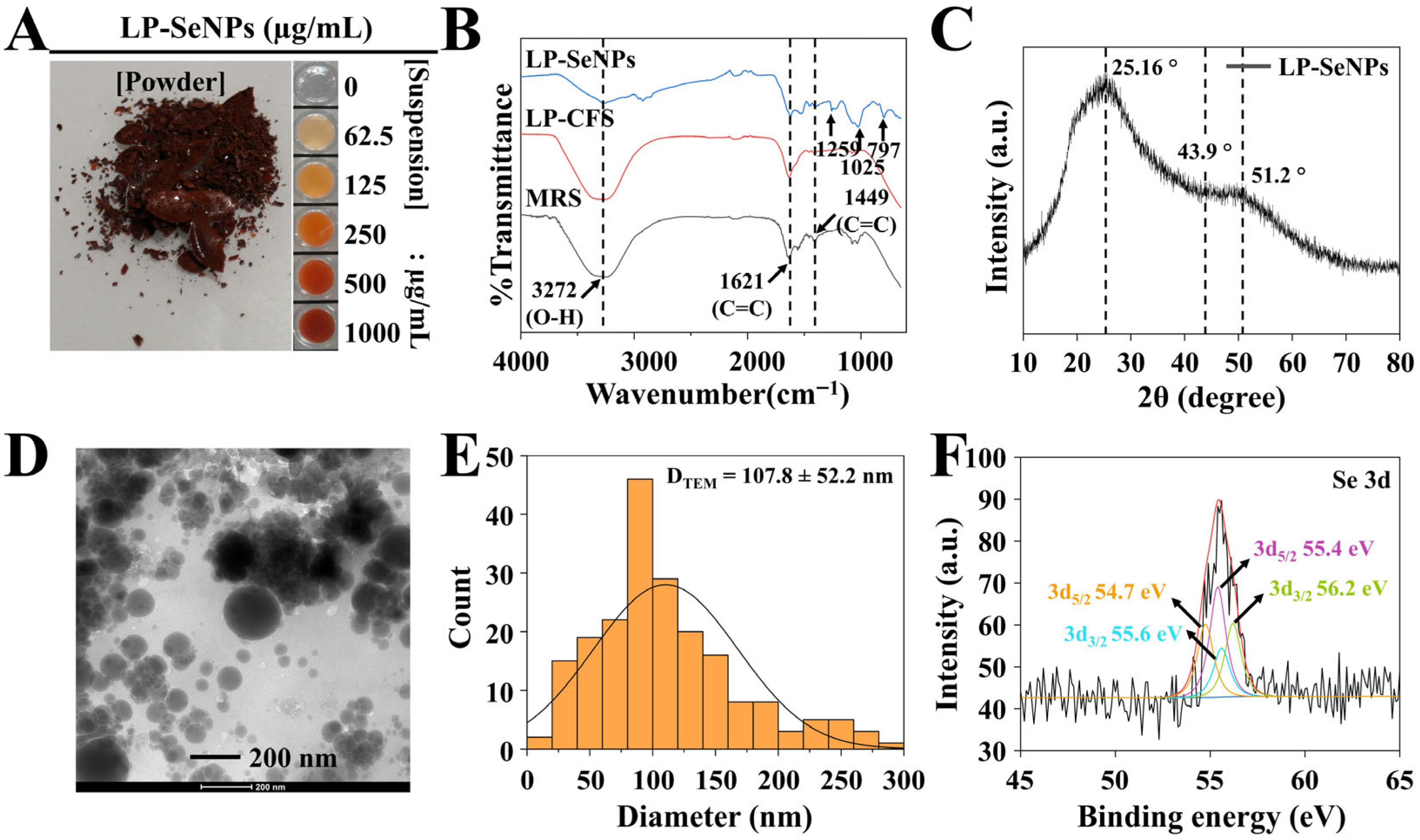 Pharmaceutics 18 00014 g003