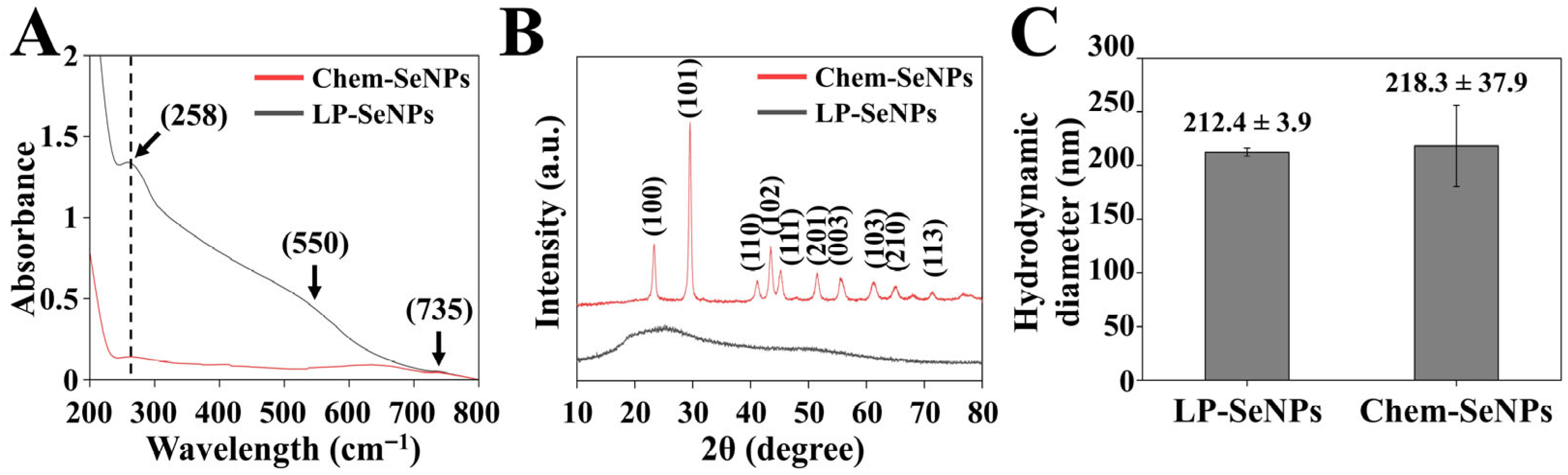 Pharmaceutics 18 00014 g004