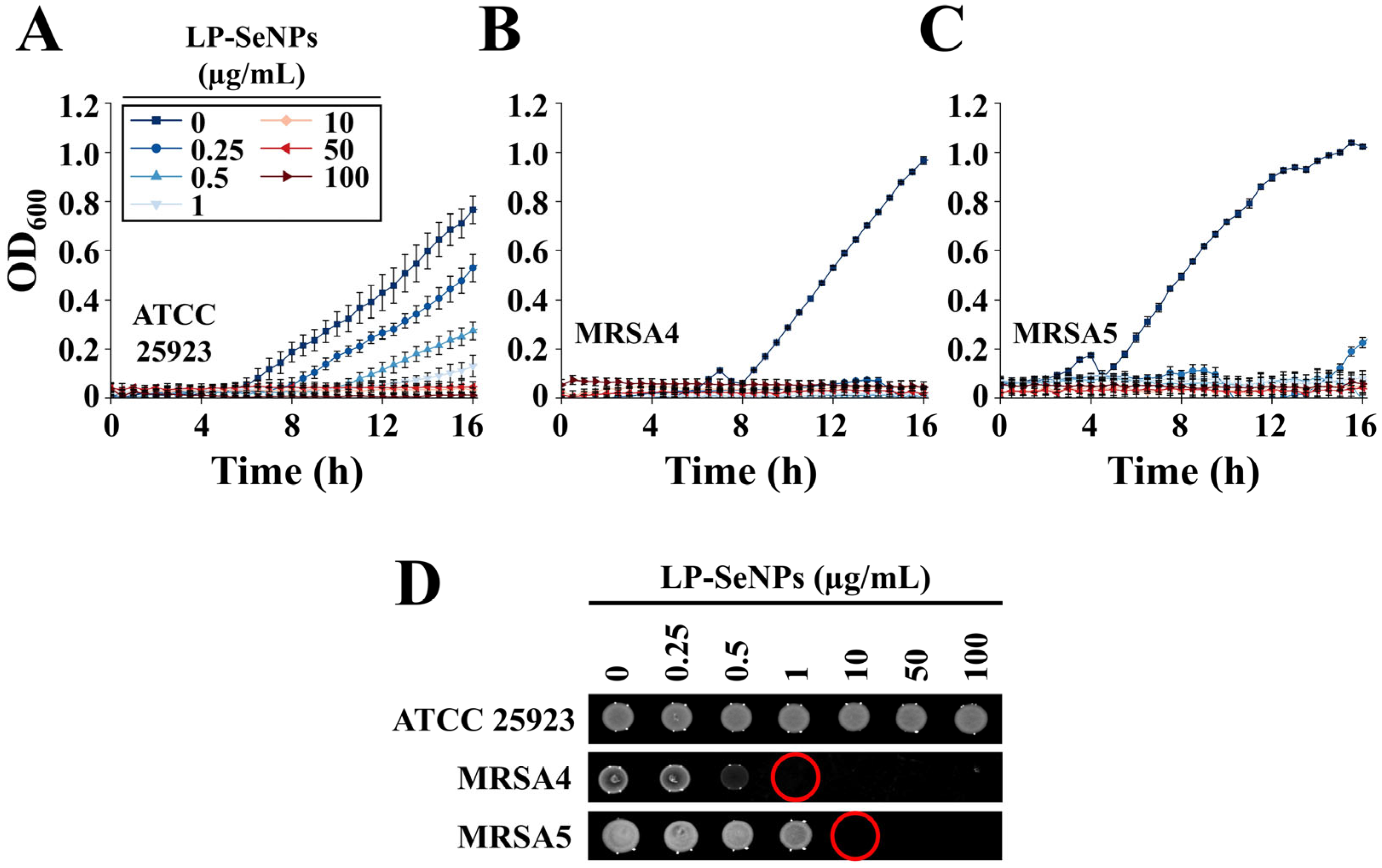 Pharmaceutics 18 00014 g007