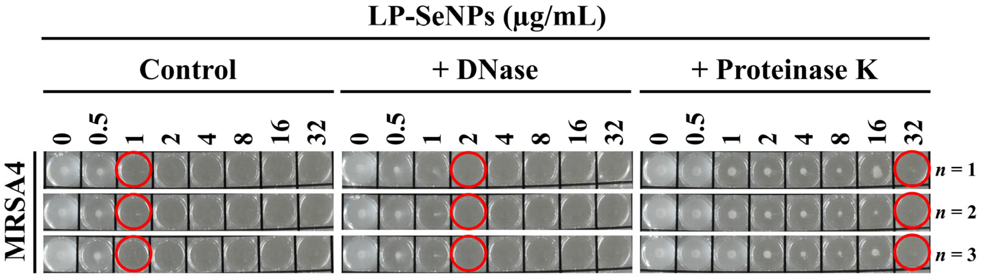 Pharmaceutics 18 00014 g009