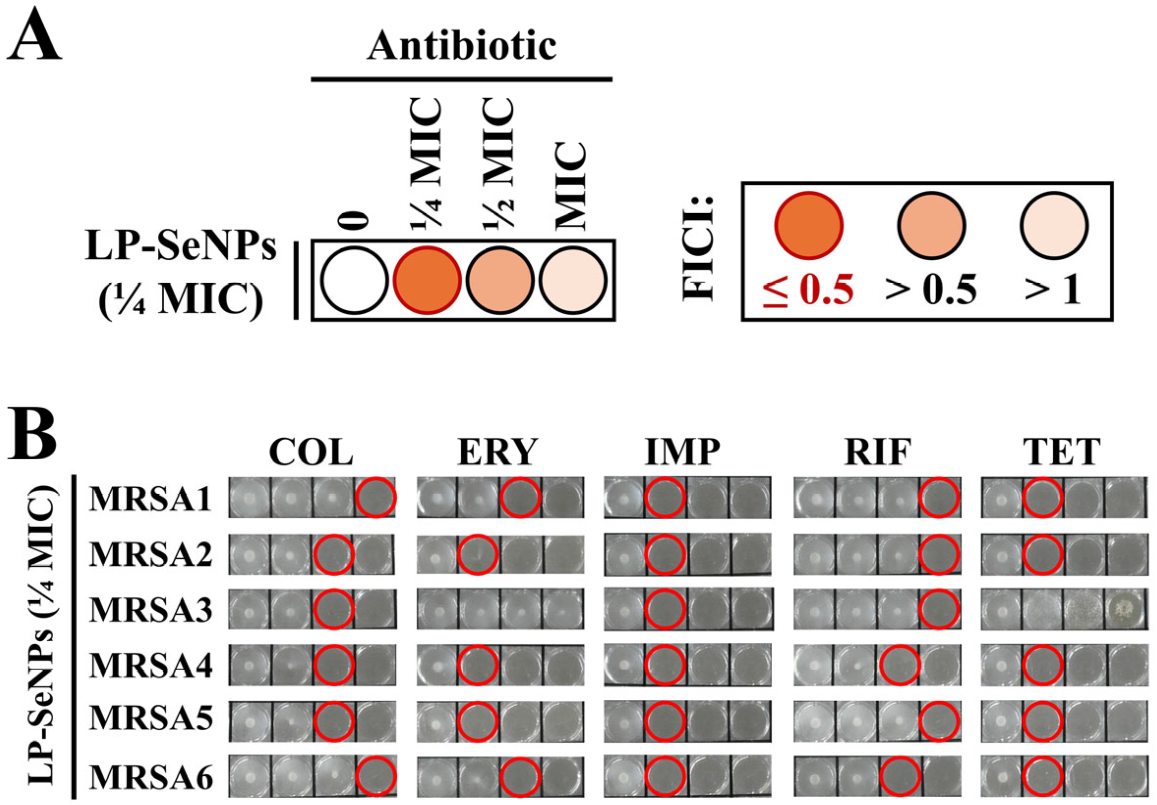 Pharmaceutics 18 00014 g010