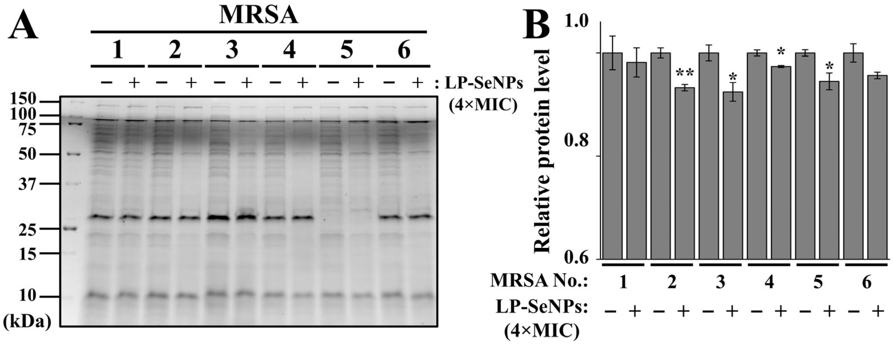 Pharmaceutics 18 00014 g012