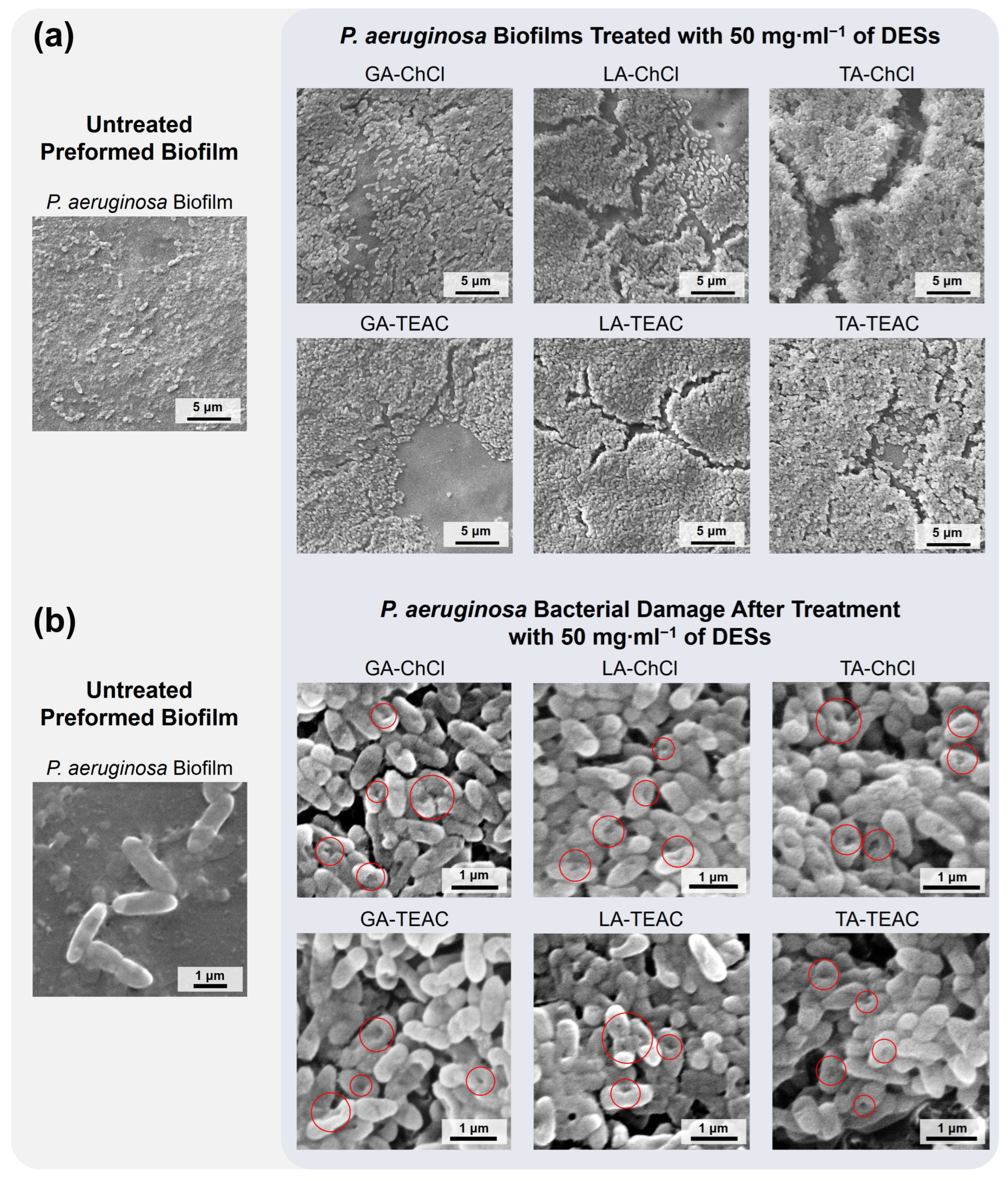 Pharmaceutics 18 00016 g006 Pharmaceutics 18 00016 g006
