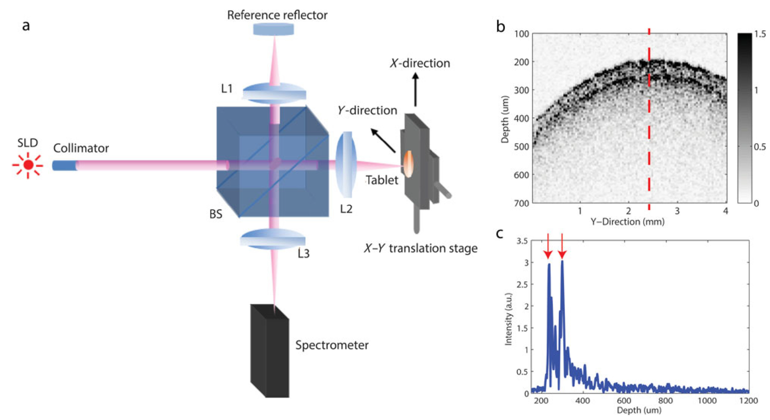 Pharmaceutics 18 00019 g009