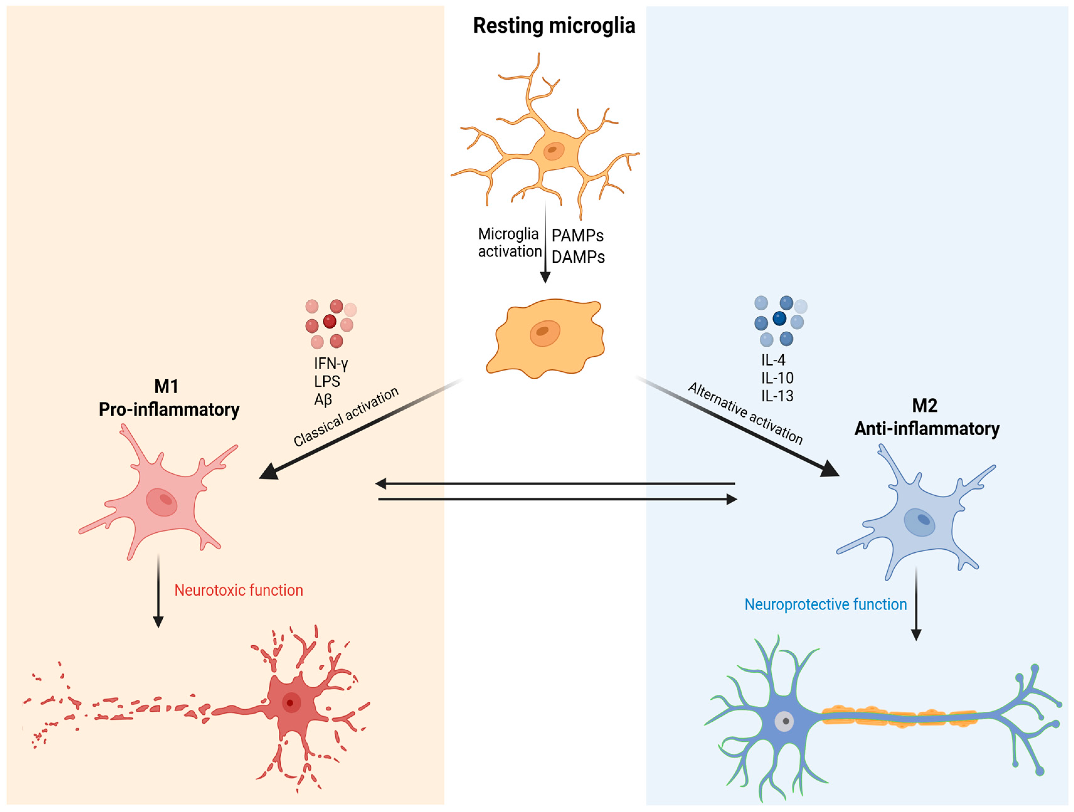 Pharmaceutics 18 00027 g001