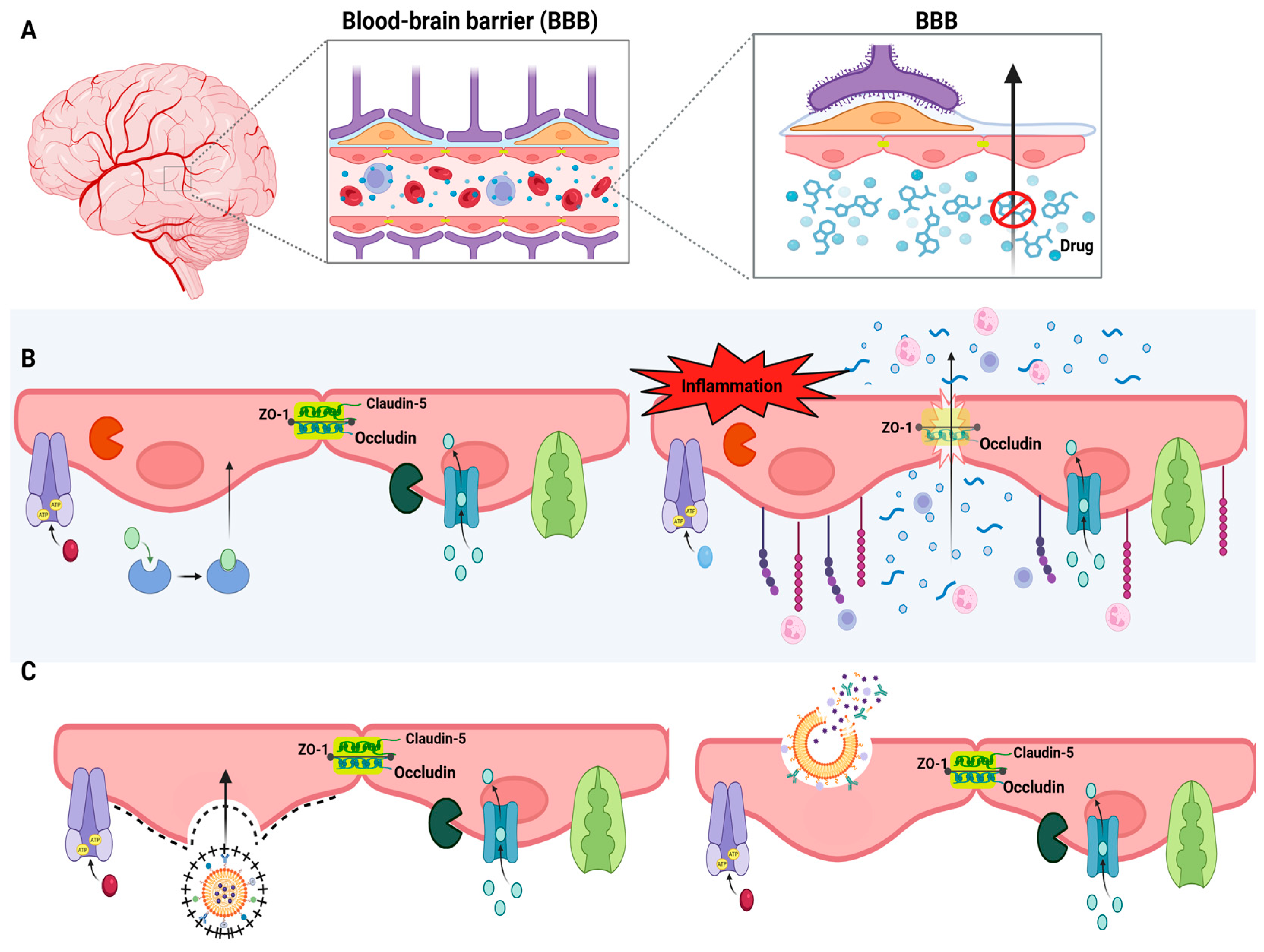 Pharmaceutics 18 00027 g003
