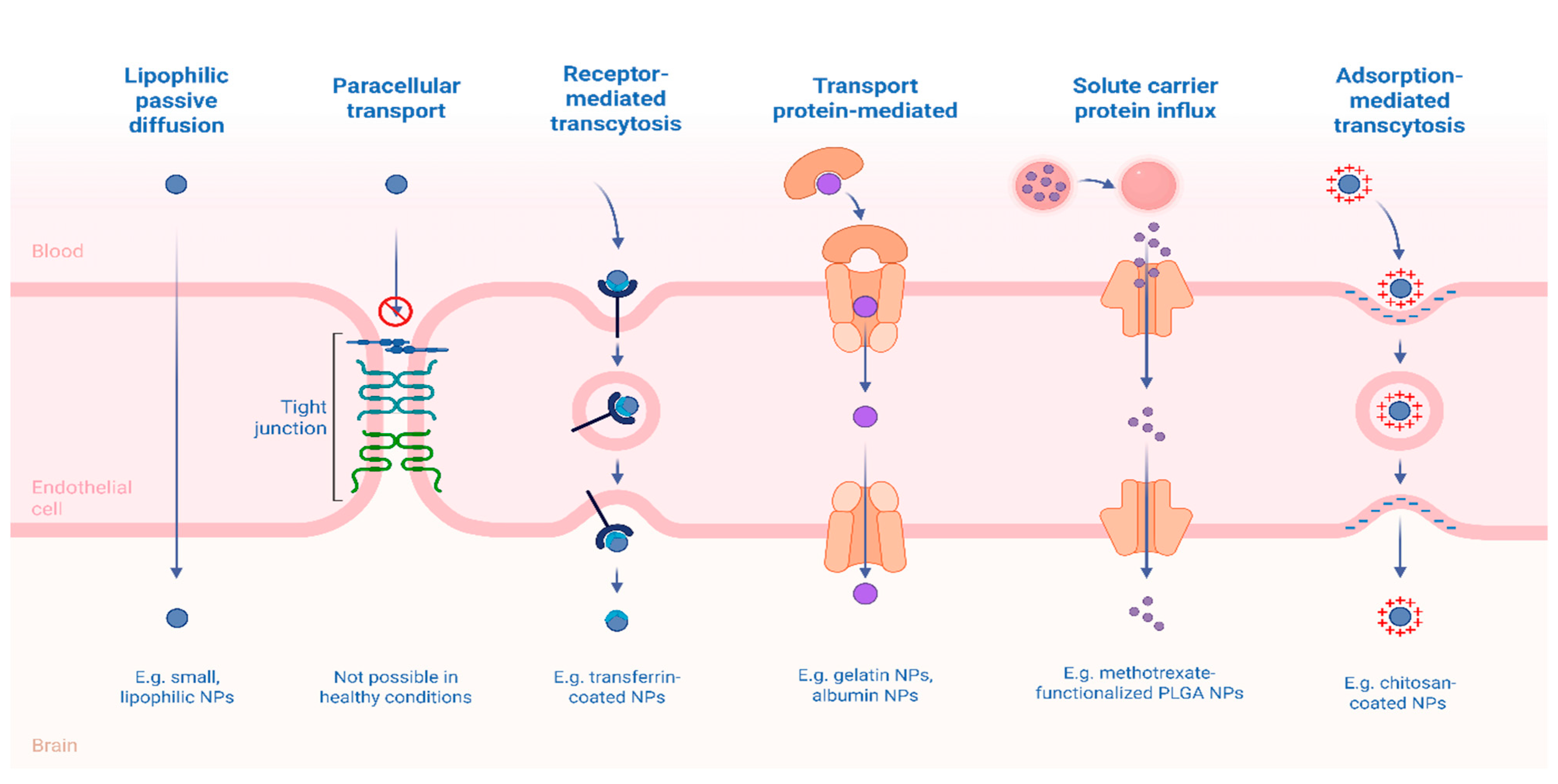 Pharmaceutics 18 00027 g004