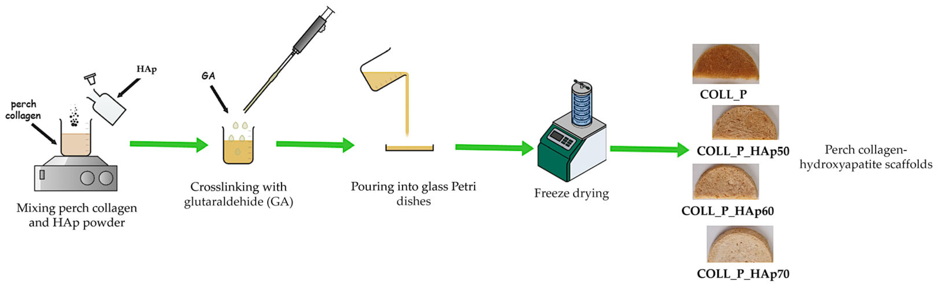 Pharmaceutics 18 00033 g001