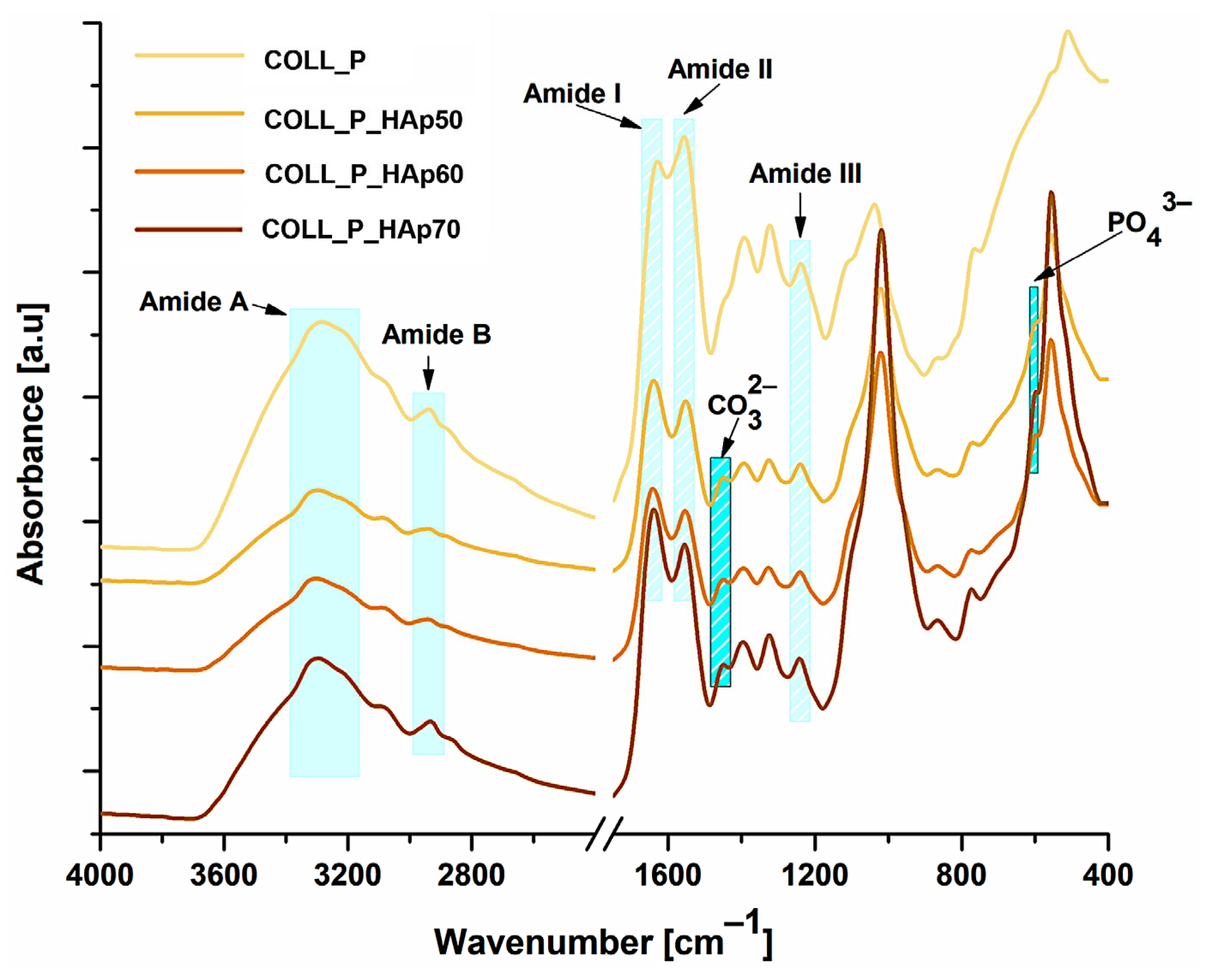 Pharmaceutics 18 00033 g003