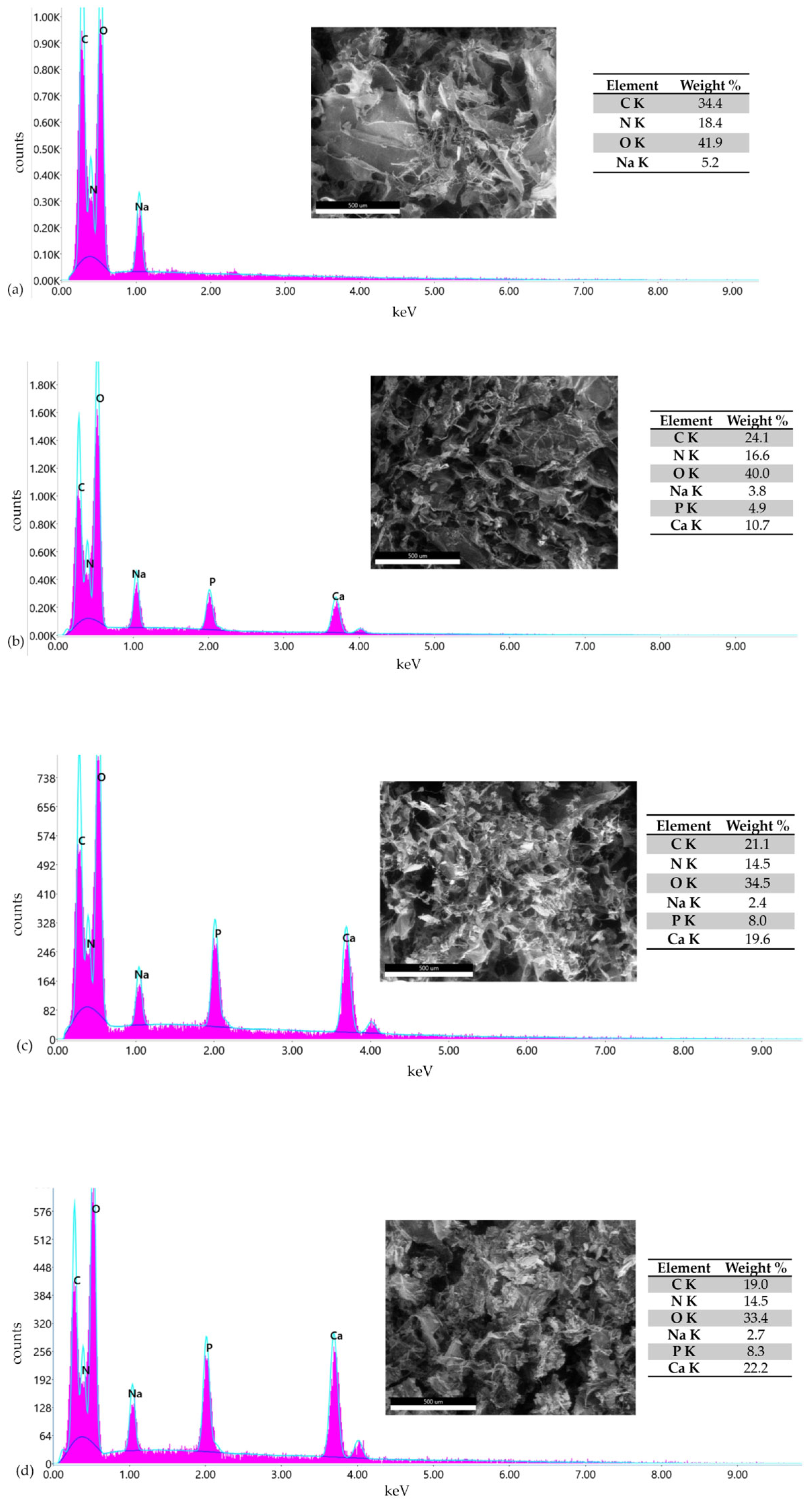 Pharmaceutics 18 00033 g008